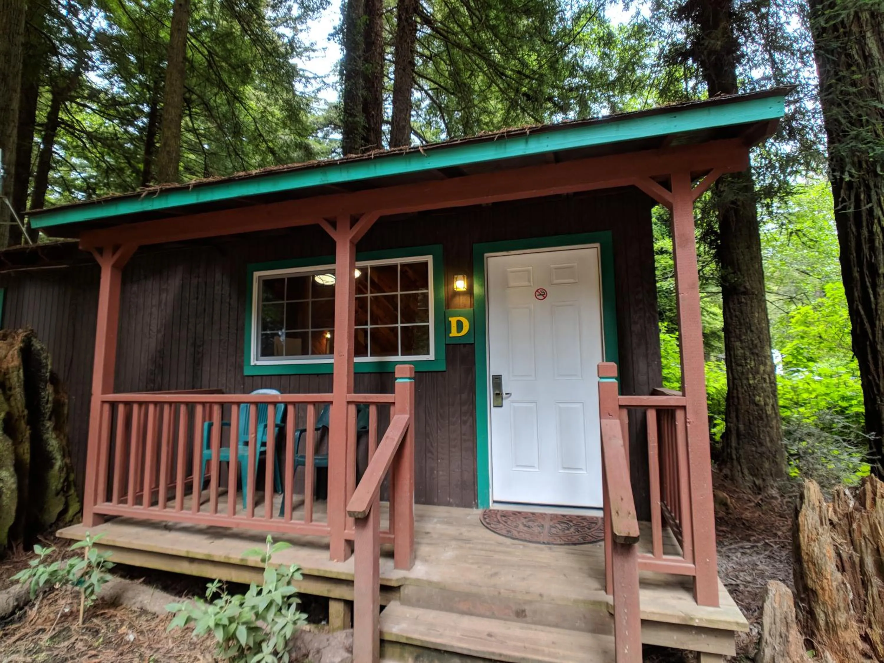 View (from property/room) in Emerald Forest Cabins