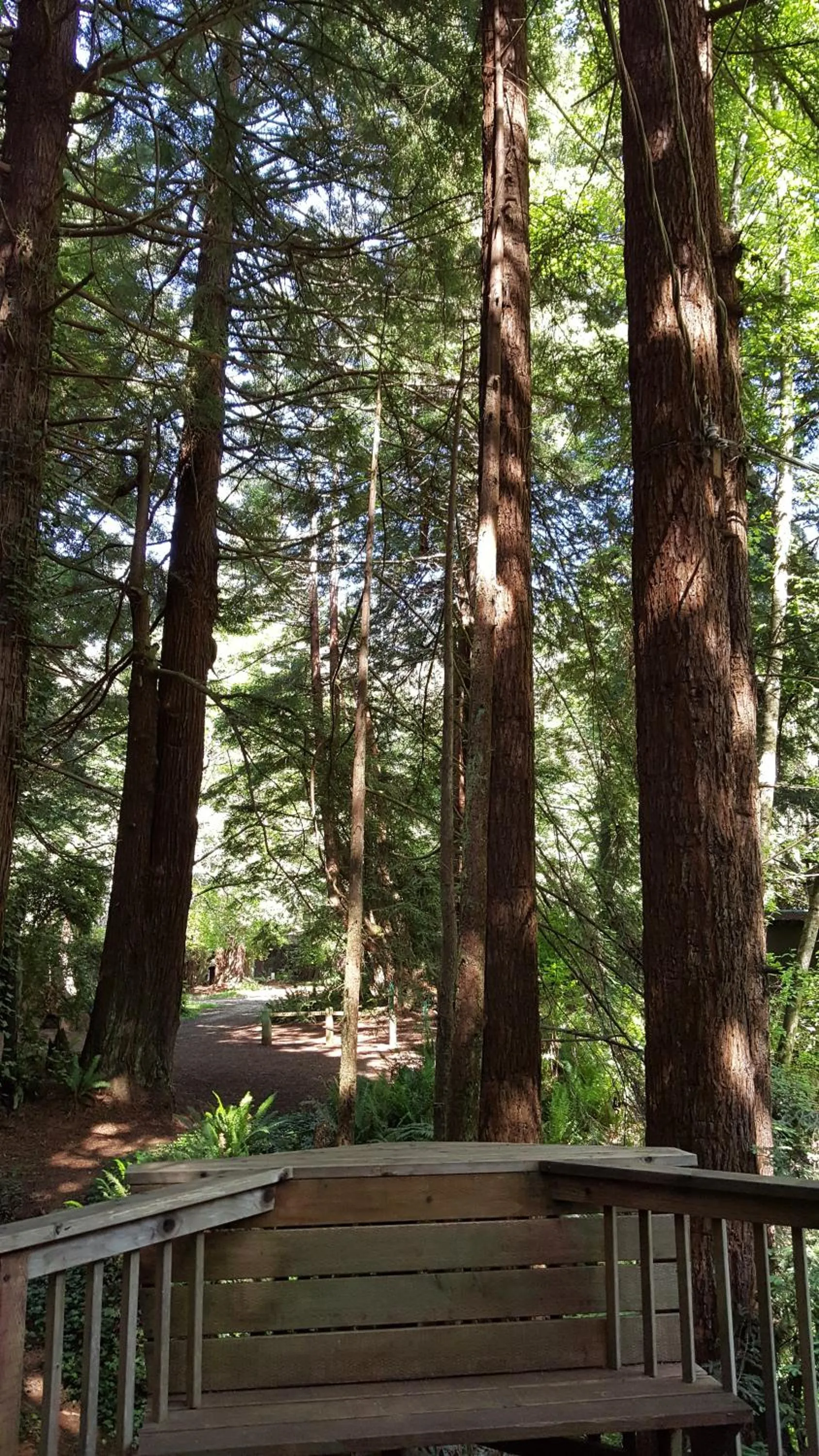 Other in Emerald Forest Cabins