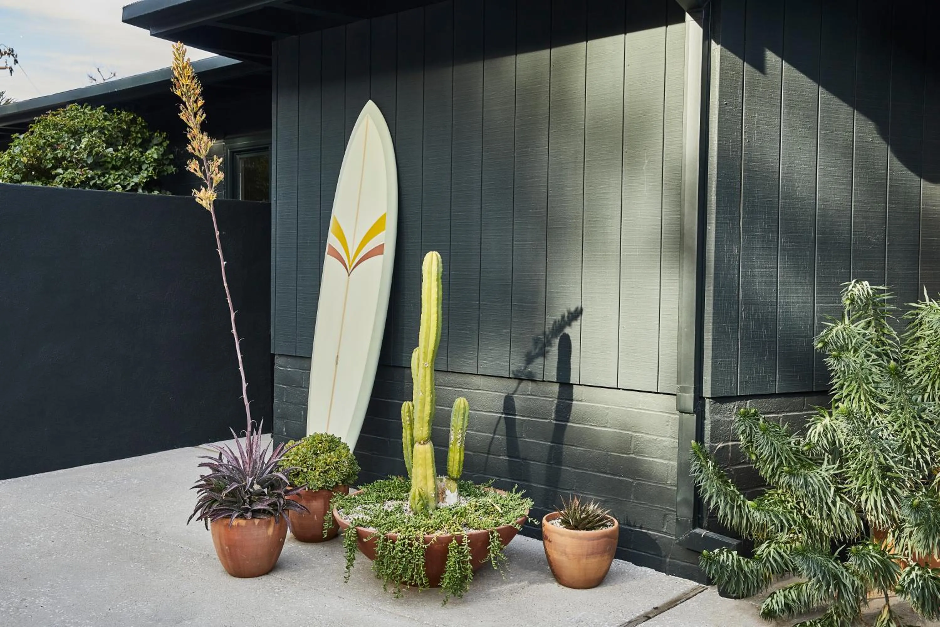 Activities in Hotel June Malibu