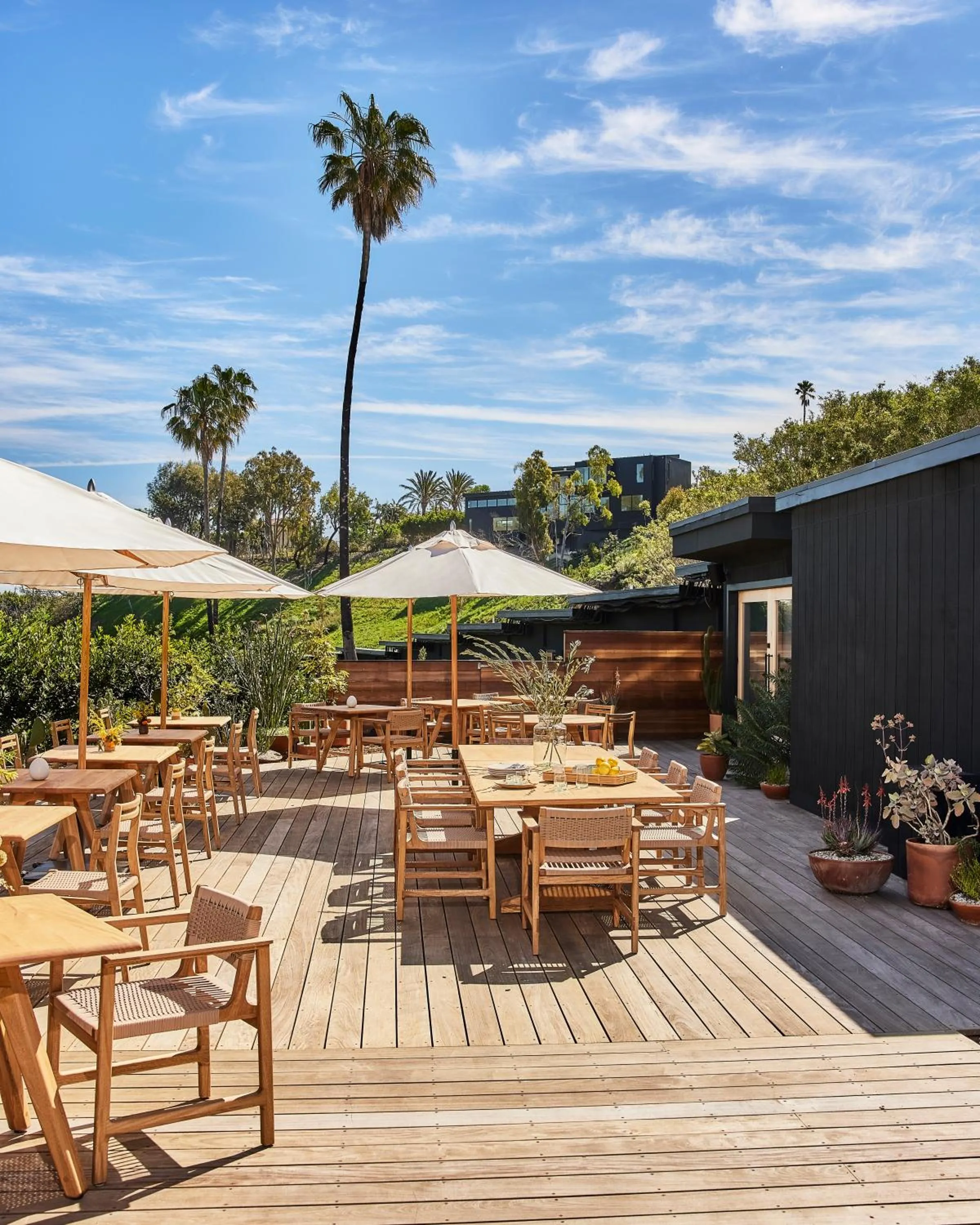 Patio in Hotel June Malibu
