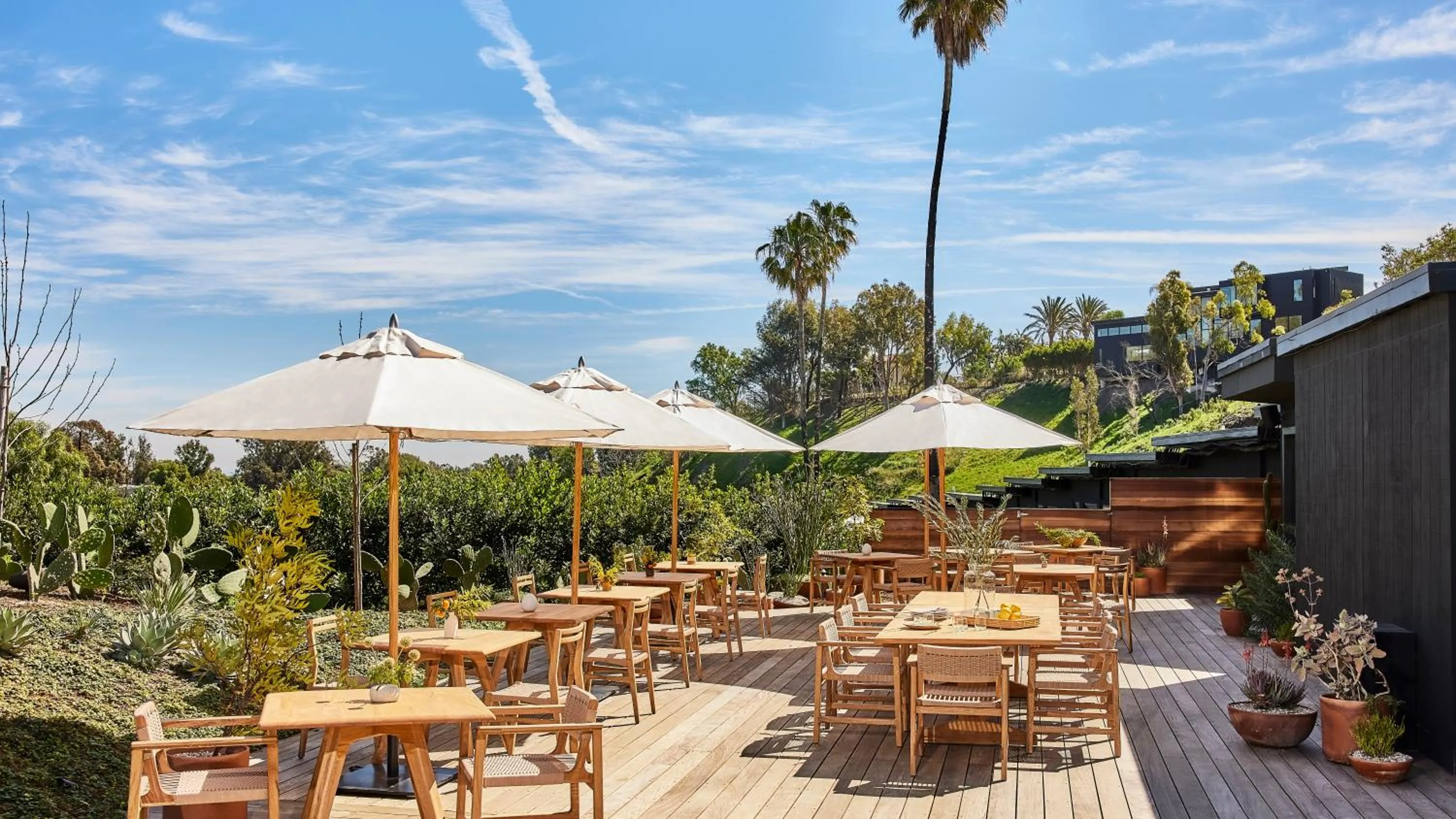 Patio in Hotel June Malibu