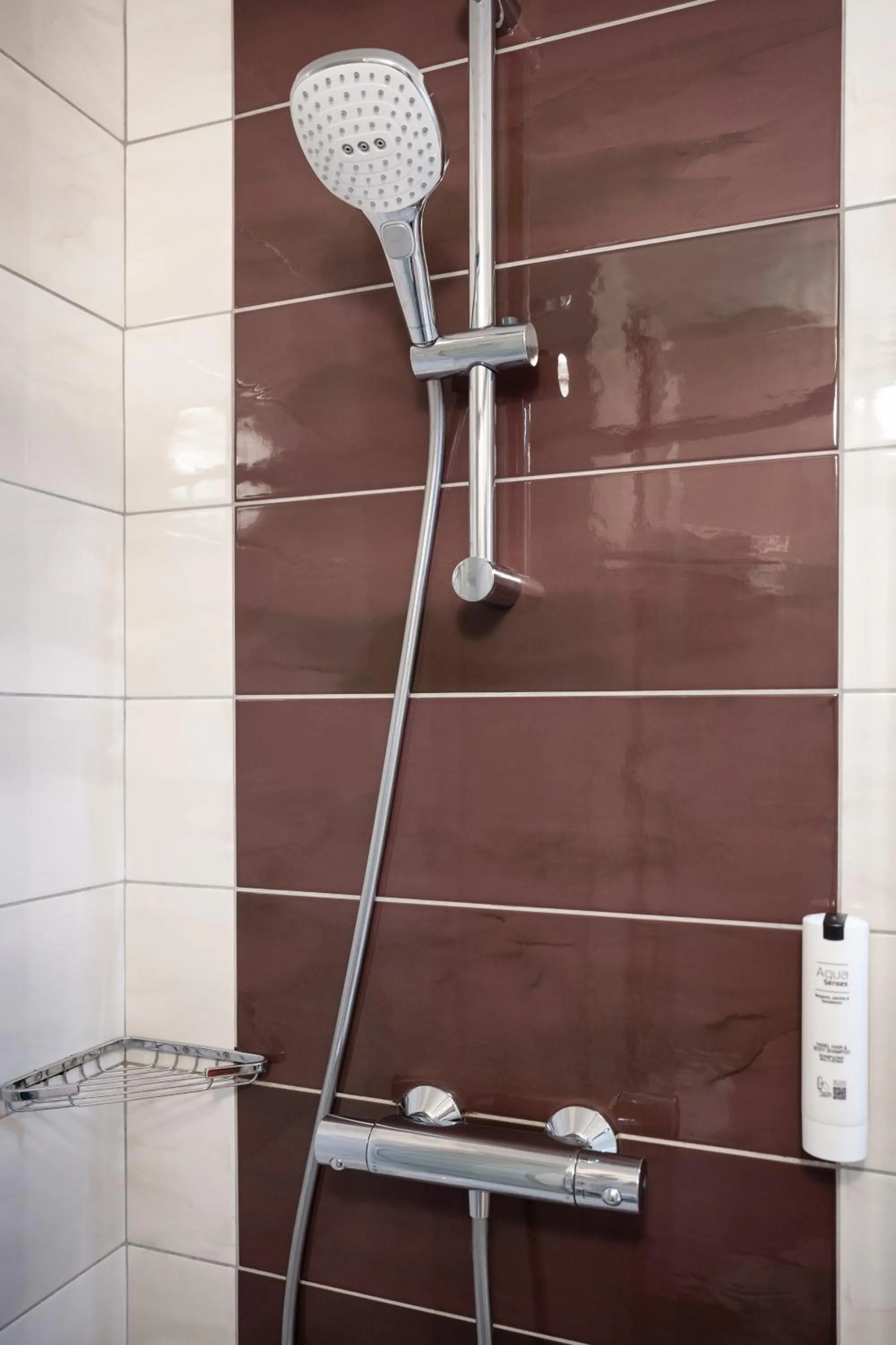 Shower in Tulip Inn Beaune