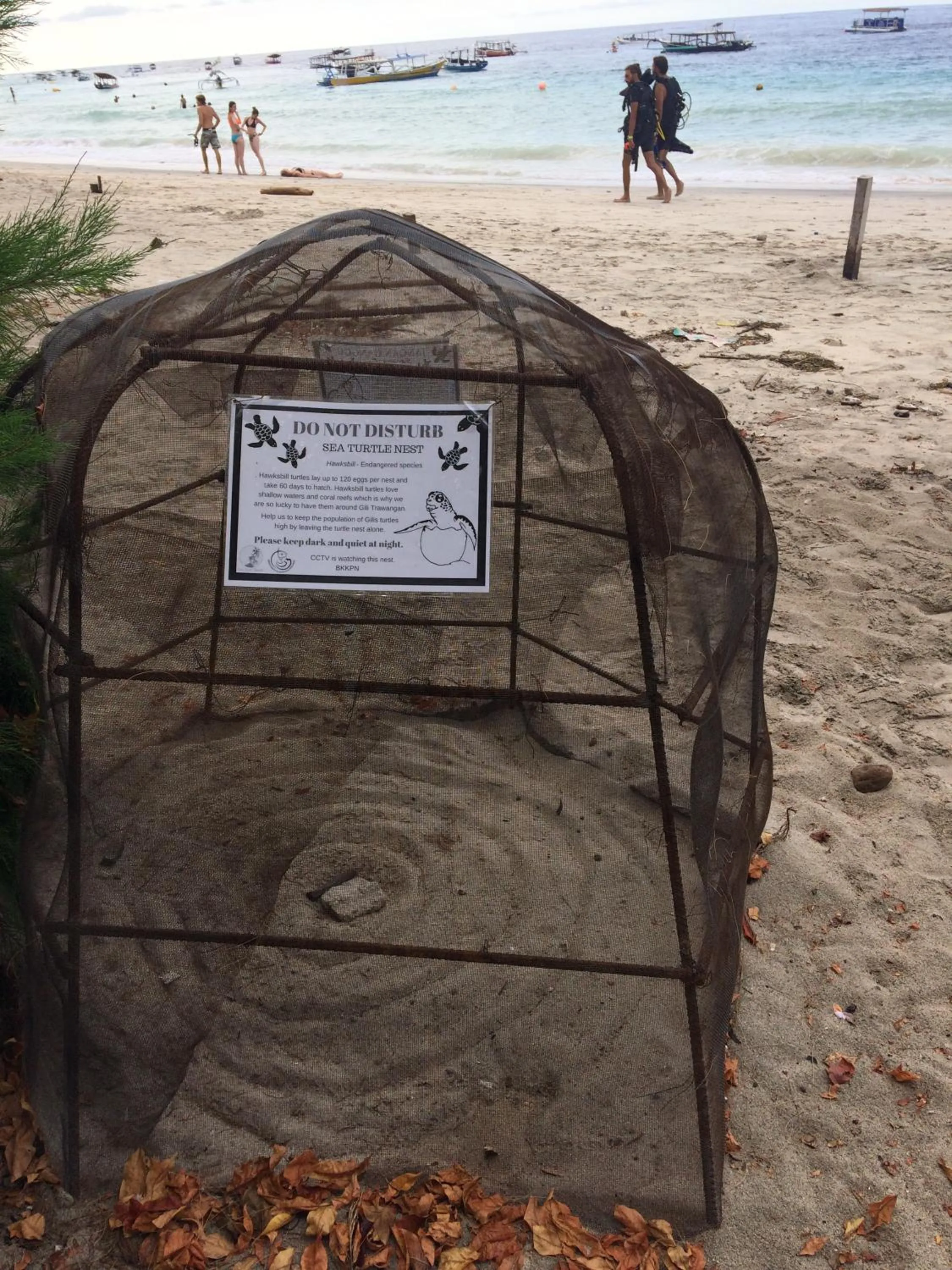 Neighbourhood in Melati Cottage