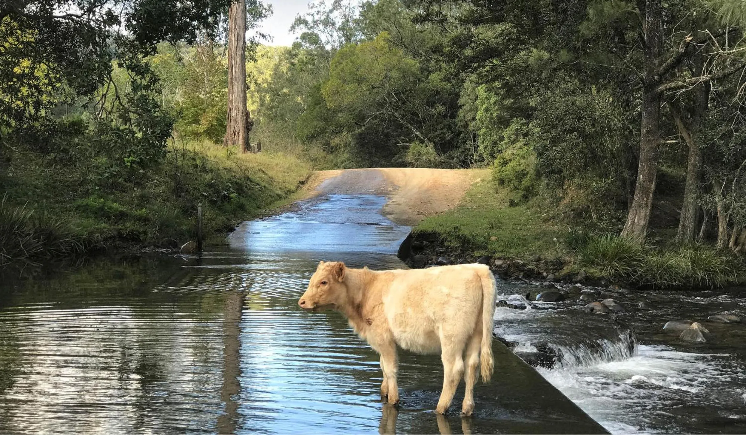 Other in Copeland House