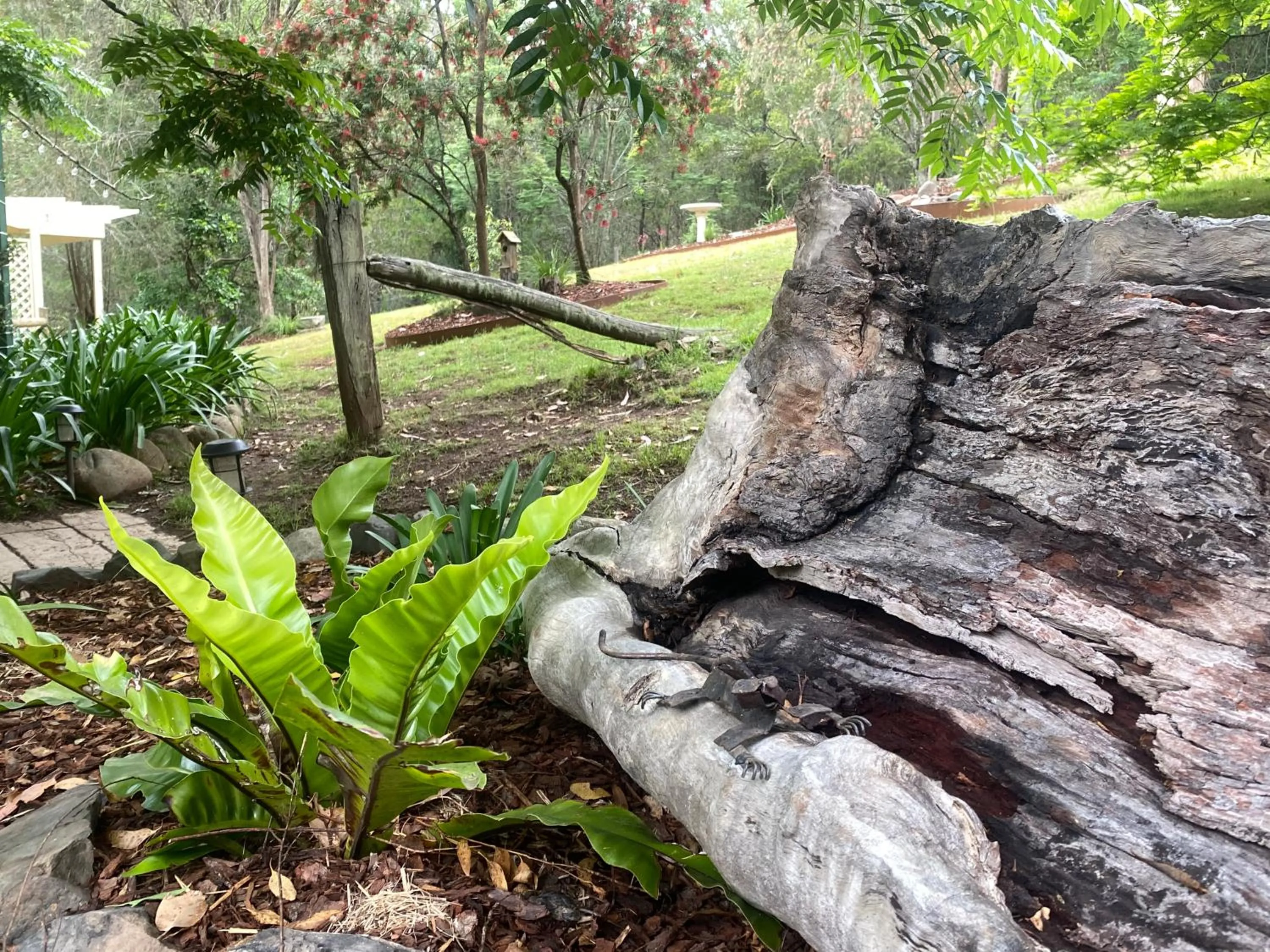Garden in Copeland House