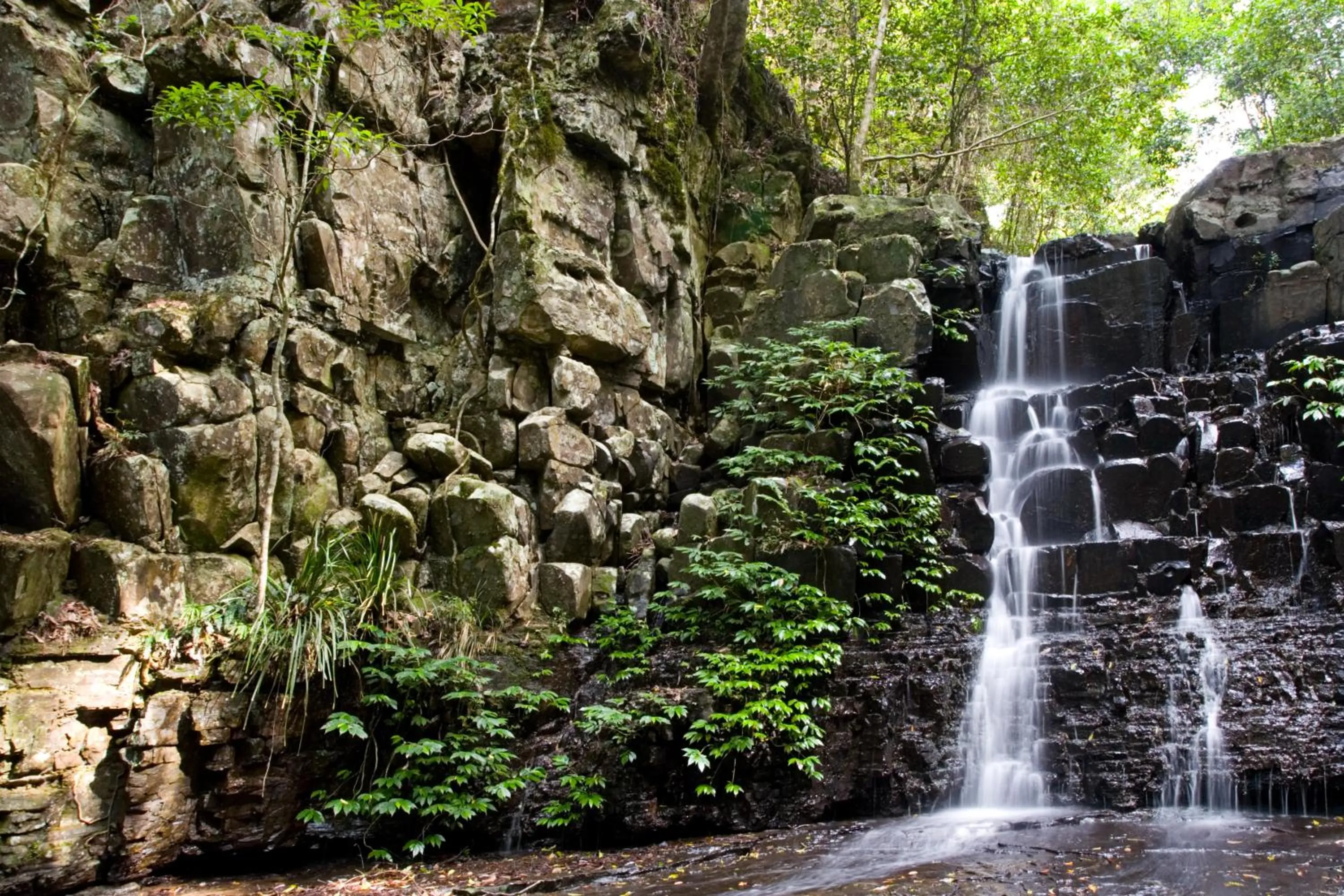 Area and facilities in Copeland House