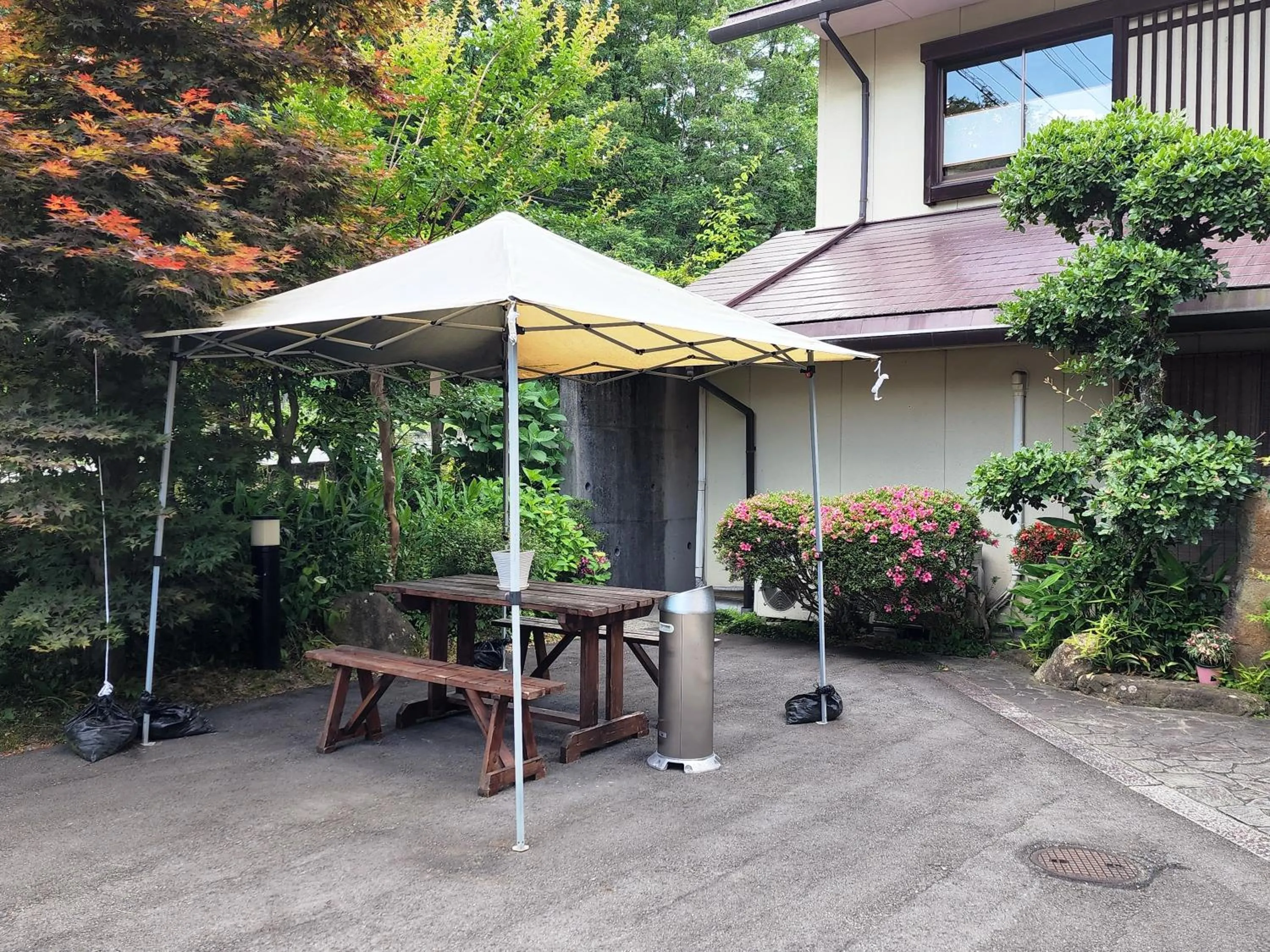 Property building in Ena Totaro