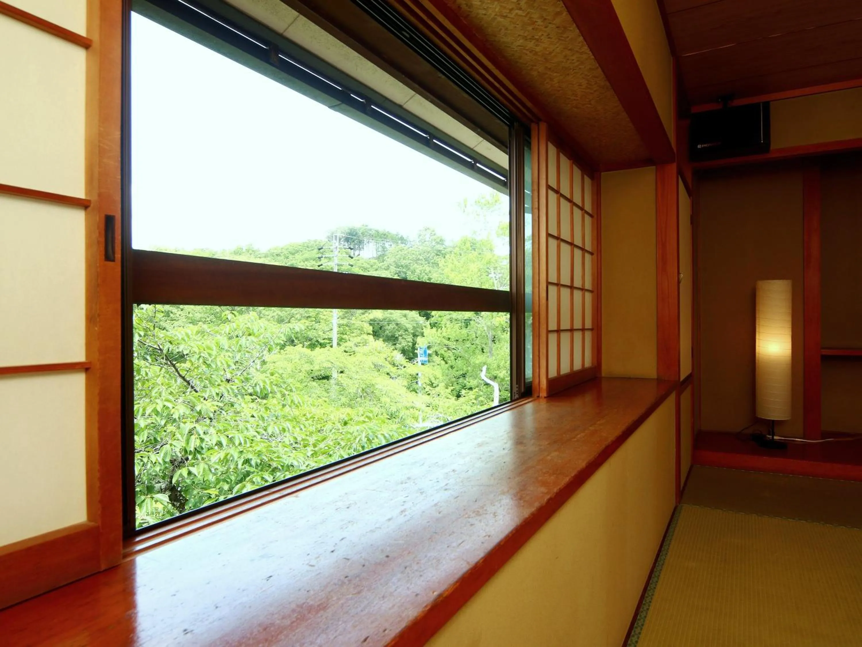 Photo of the whole room in Ena Totaro