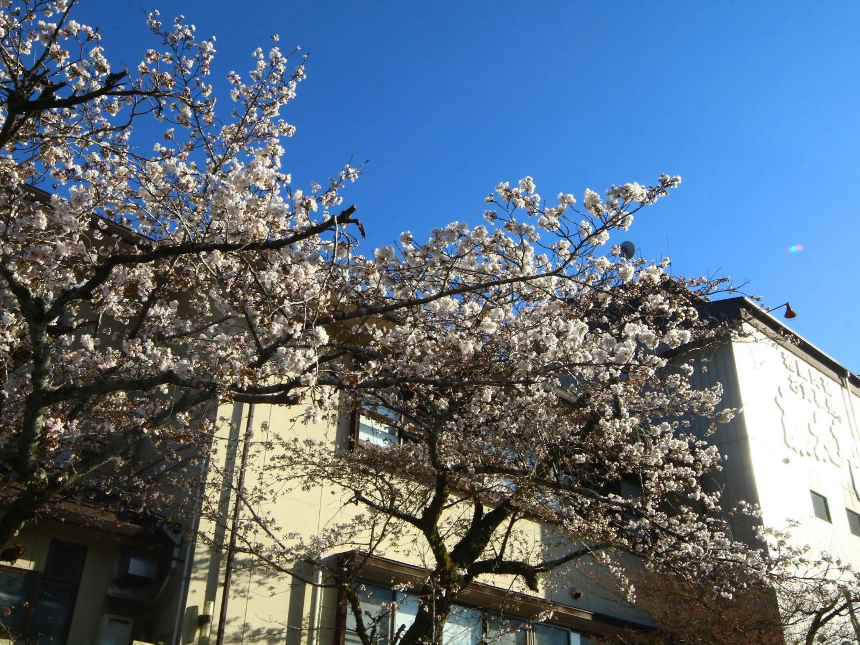 Property building in Ena Totaro