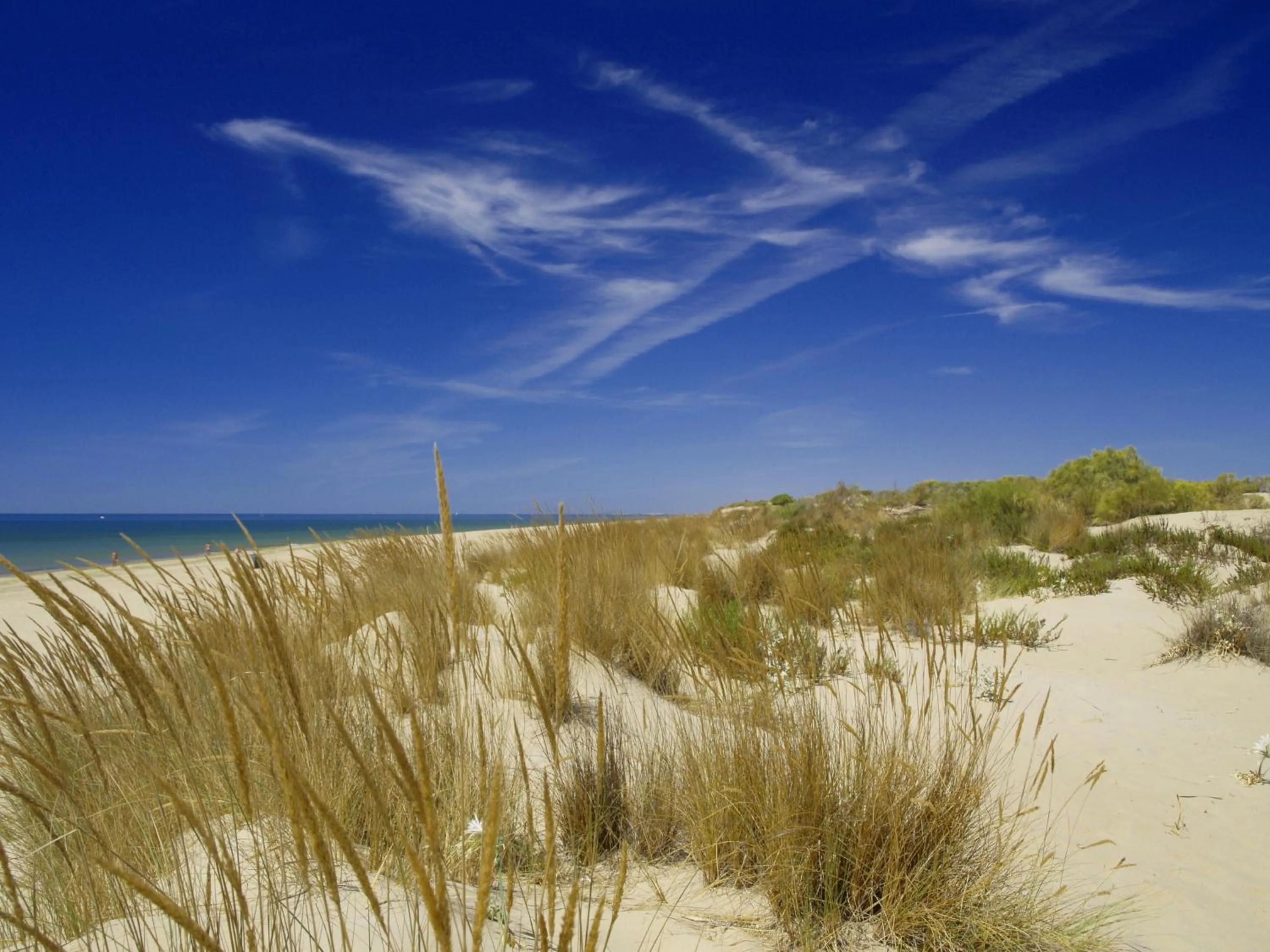 Other in Hotel Ayamontino