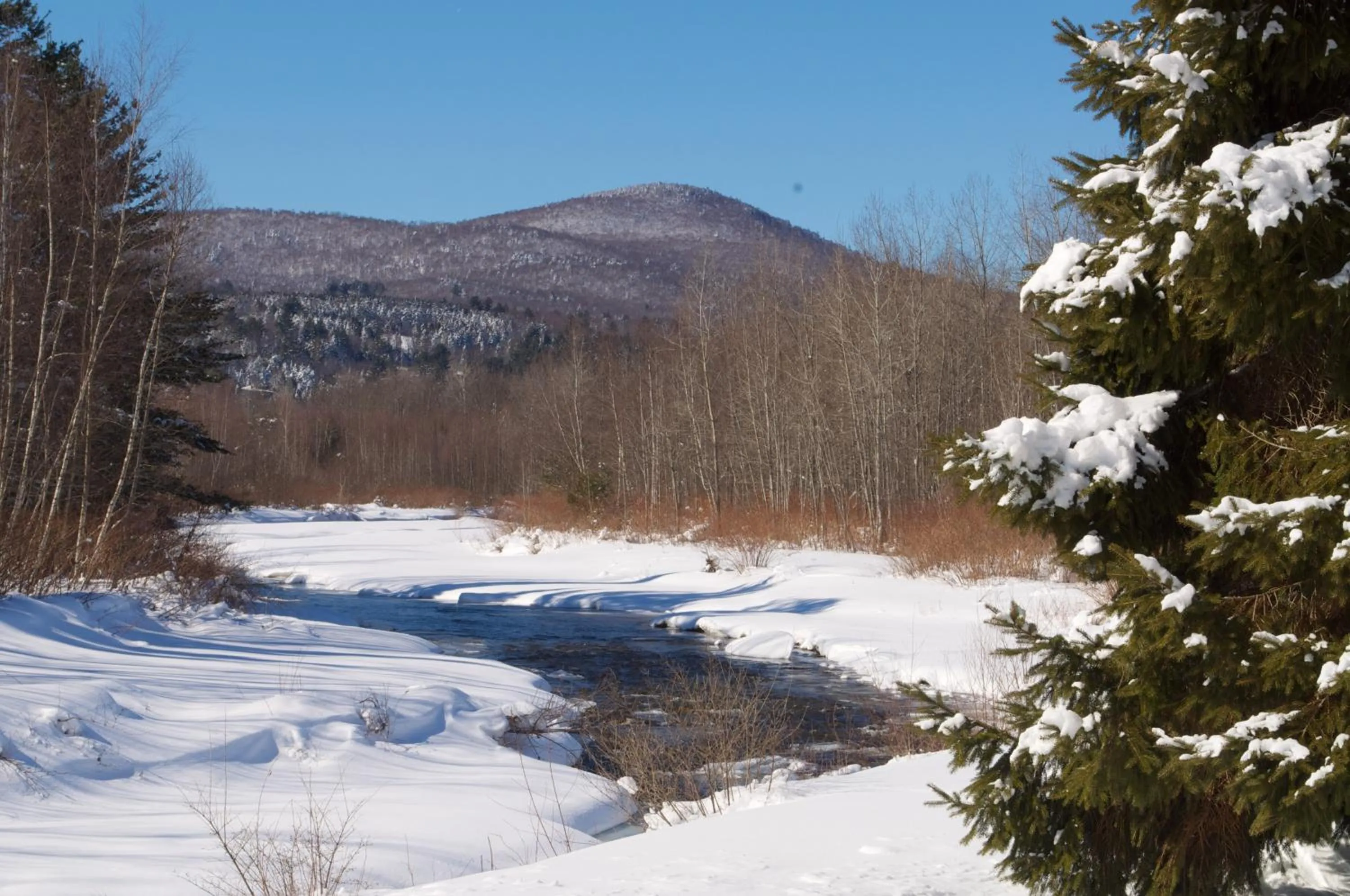 Natural landscape in Sun & Ski Inn and Suites