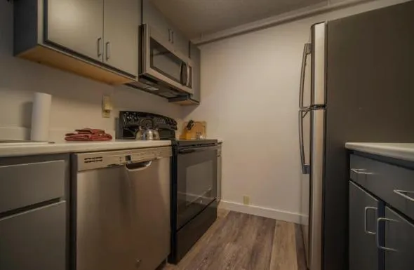 Kitchen or kitchenette in Sun & Ski Inn and Suites