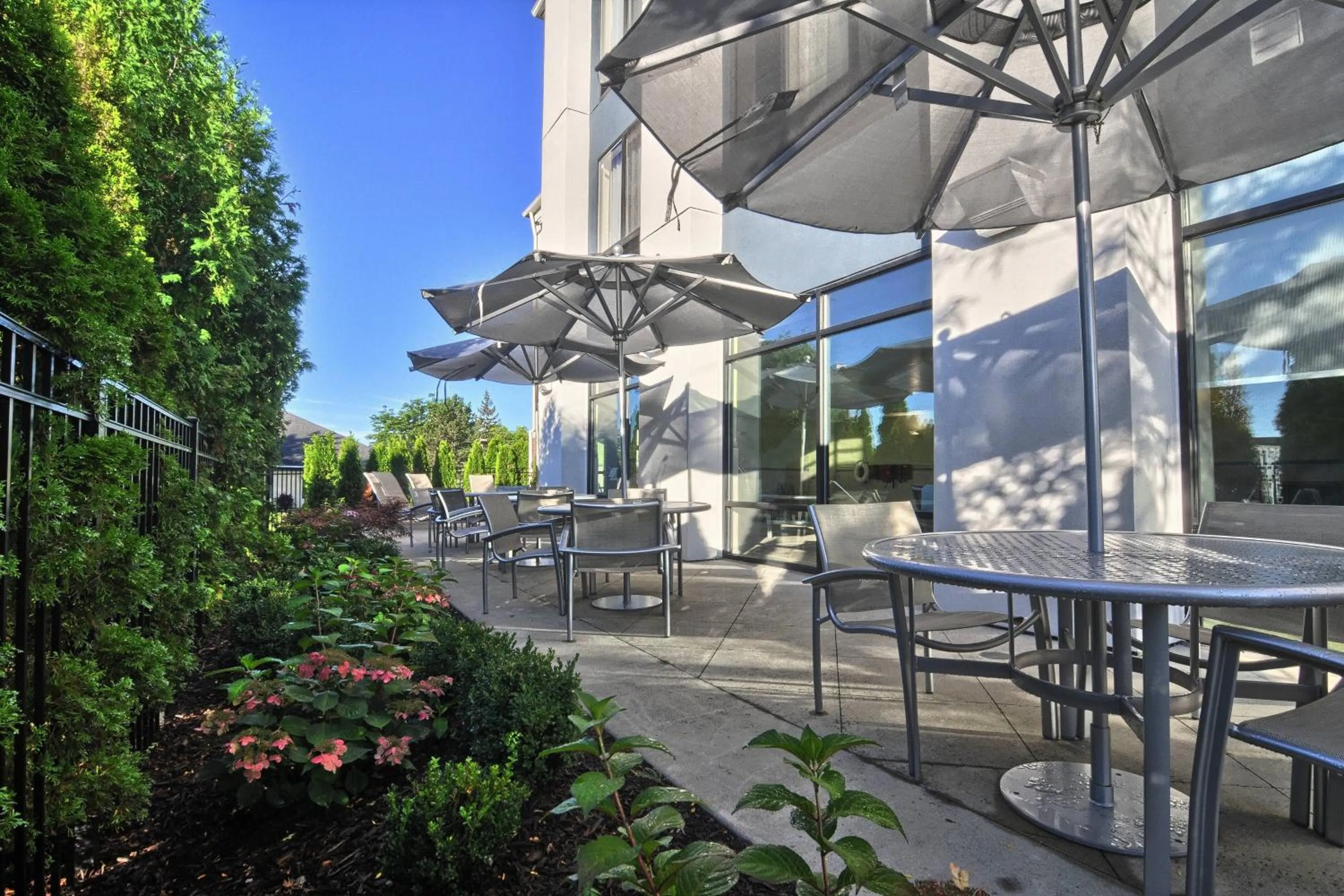 View (from property/room) in SpringHill Suites Detroit Southfield