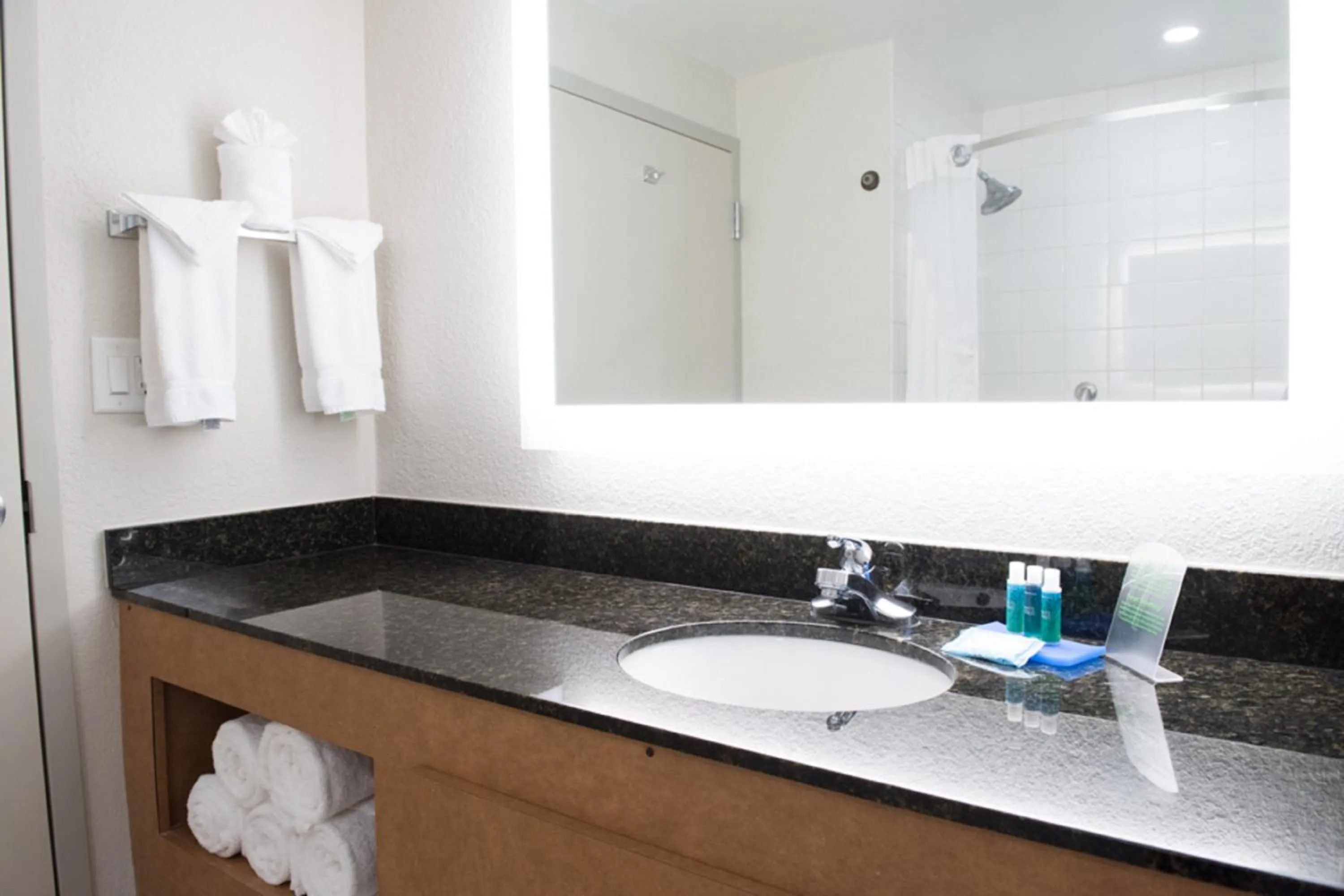 Bathroom in Holiday Inn Express Pascagoula-Moss Point by IHG