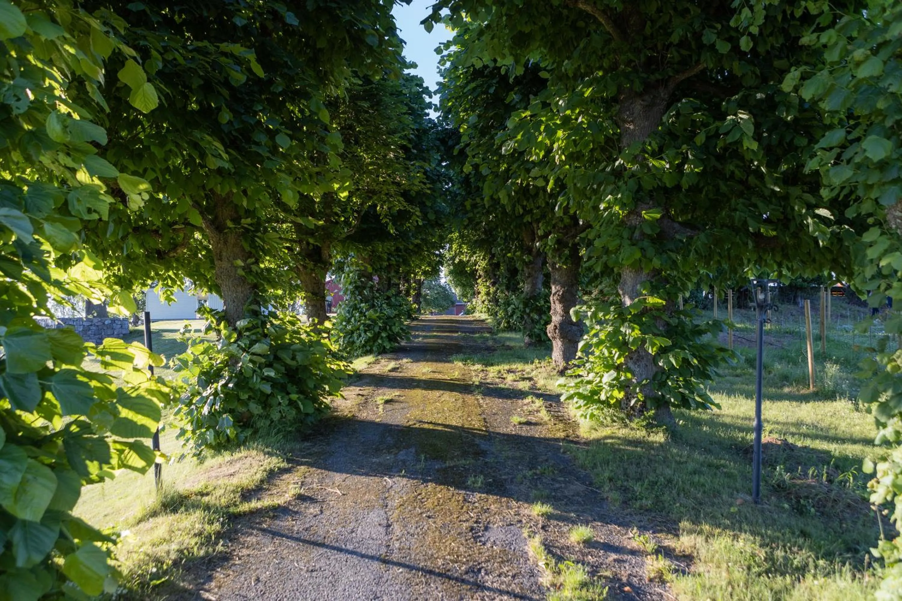 Garden in Dal Gjestegaard