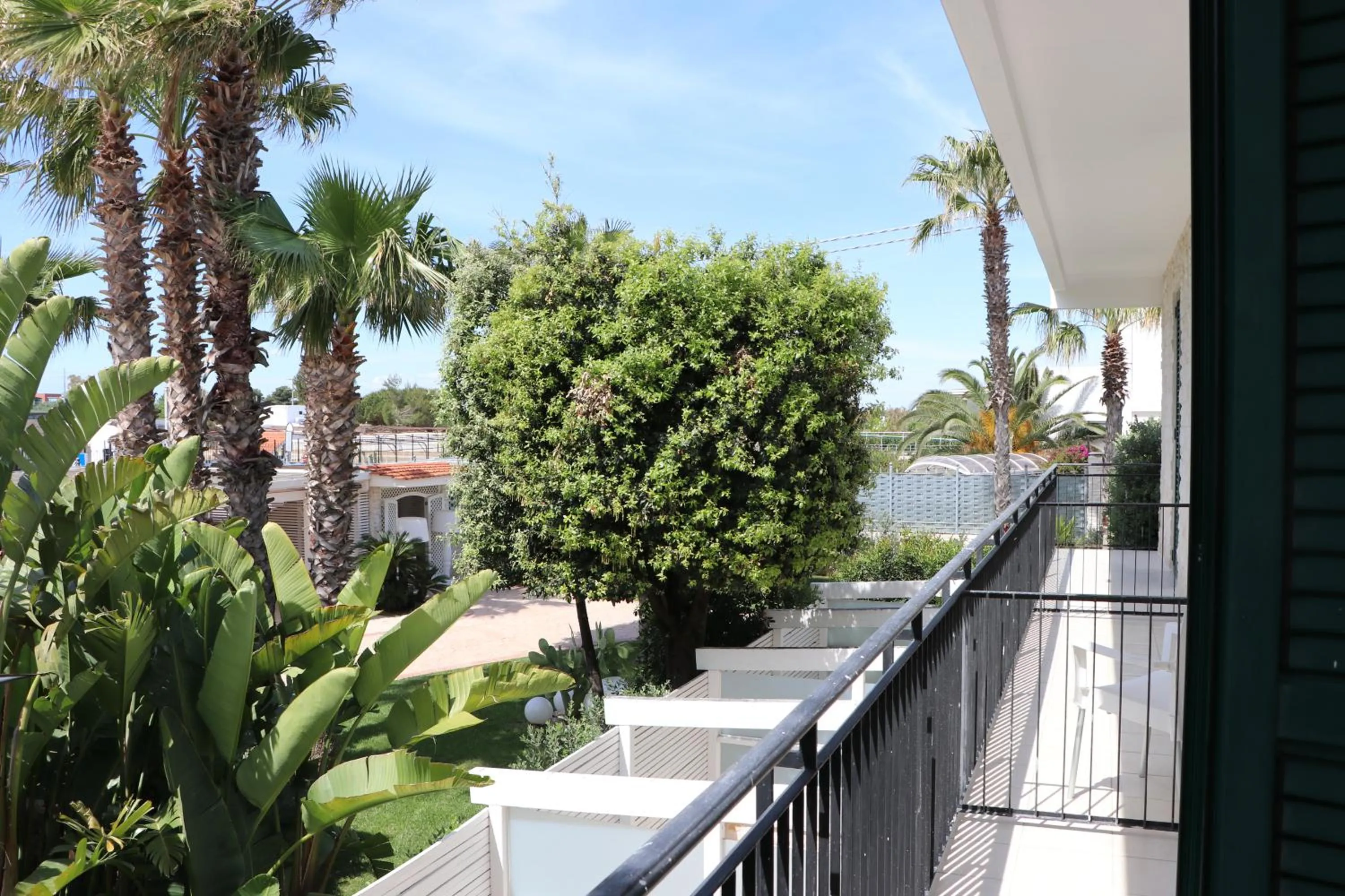 Garden view in Hotel Lafayette
