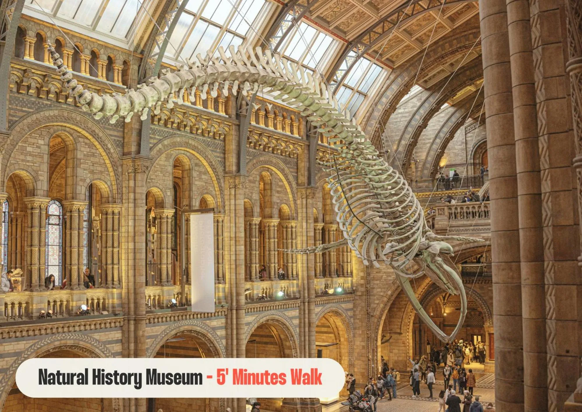 Nearby landmark in Astor Hyde Park Hostel