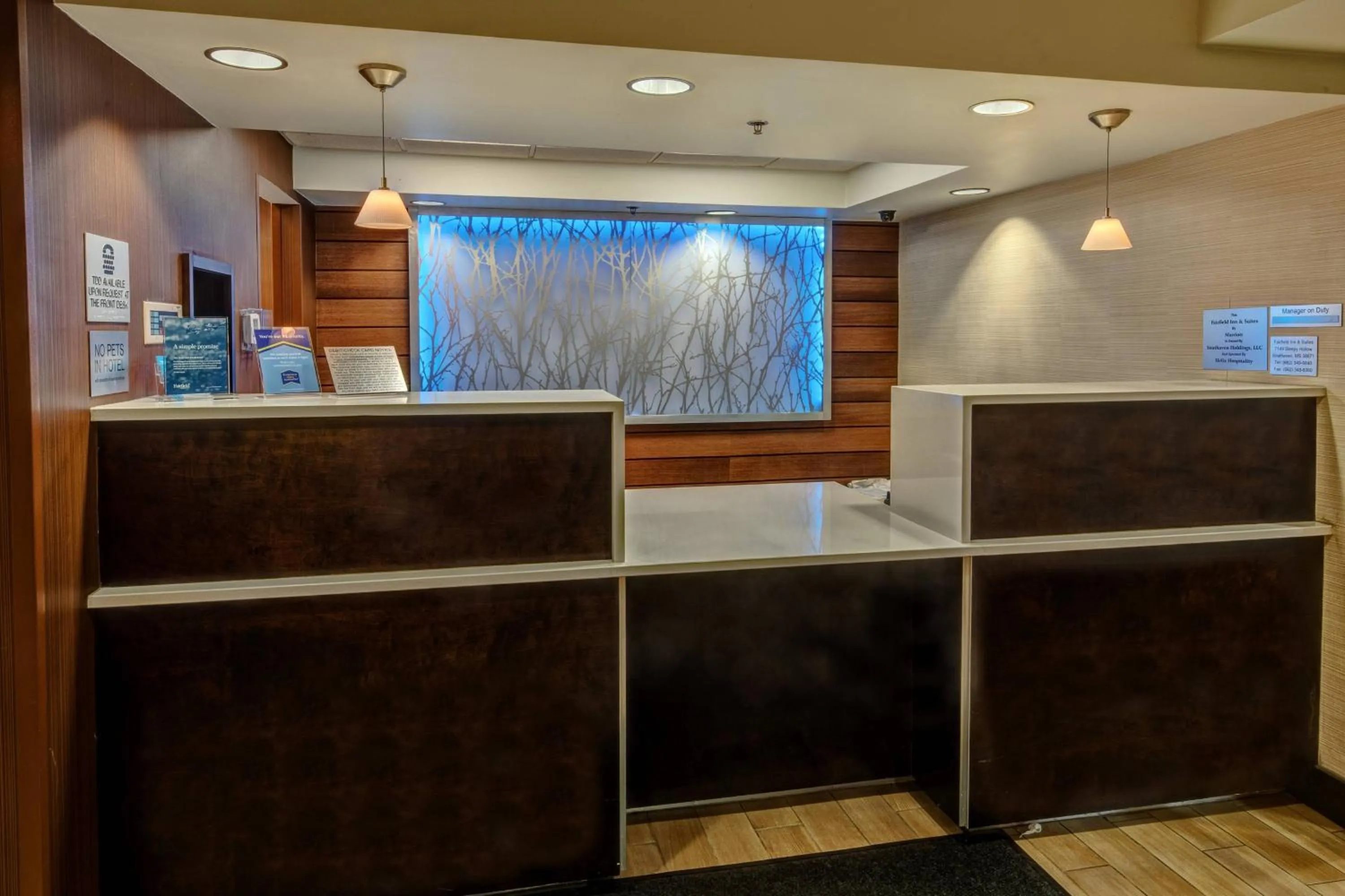 Lobby or reception in Fairfield Inn & Suites Memphis Southaven