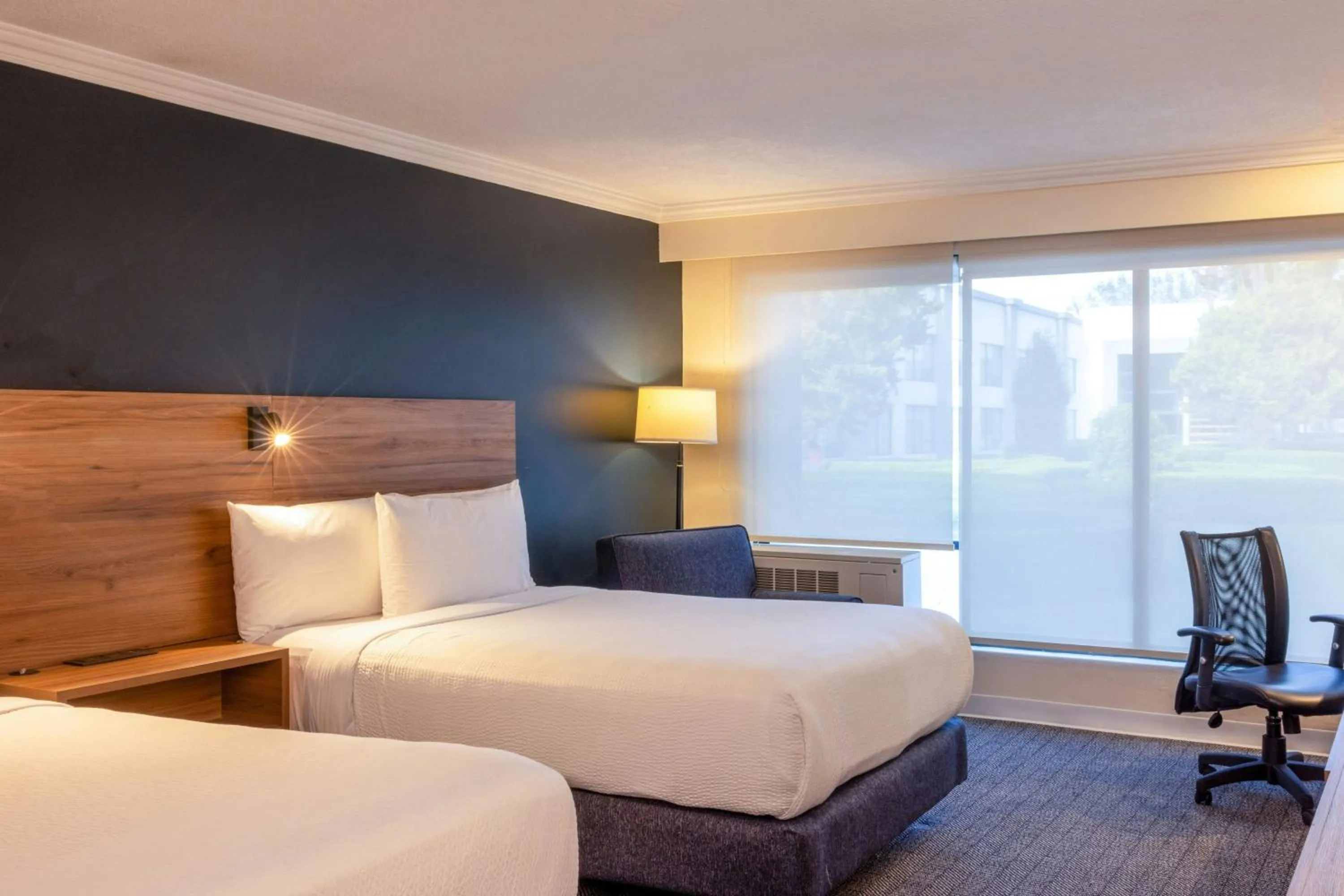 Photo of the whole room, Bed in Courtyard Toluca Airport