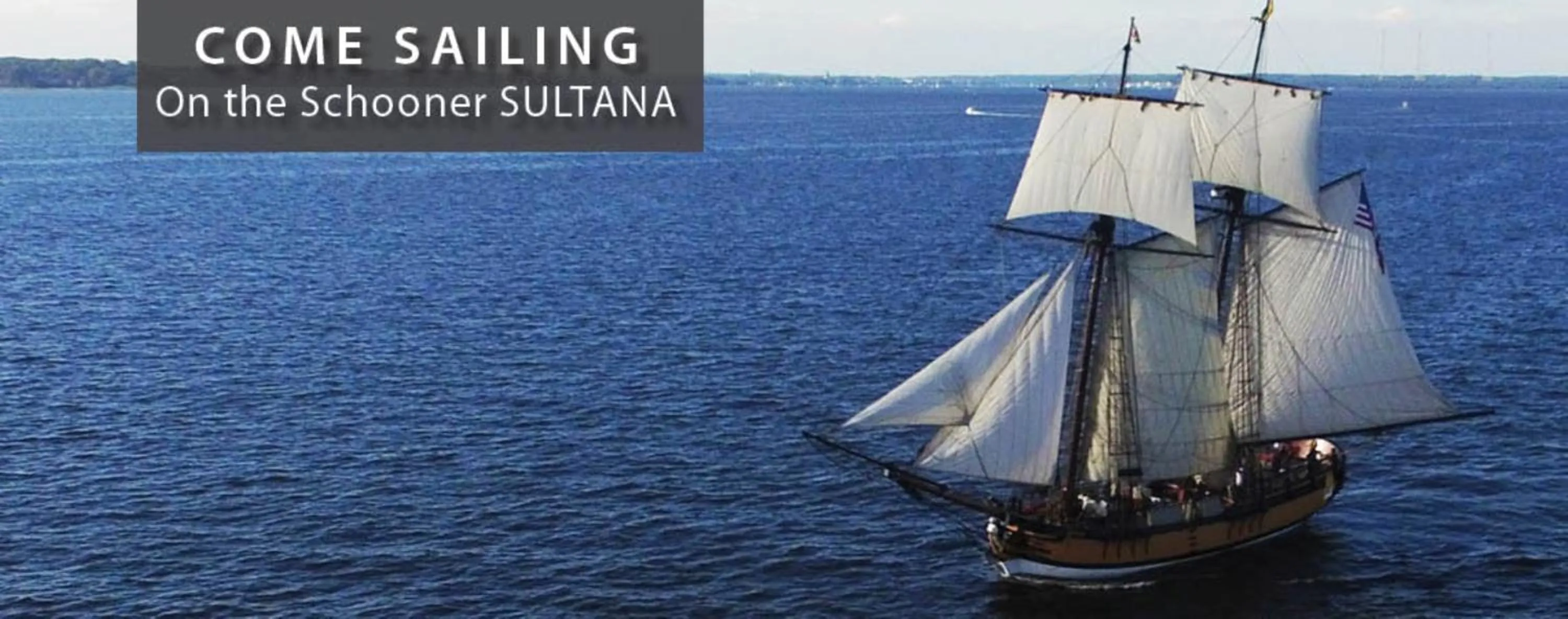 Other in Comfort Inn & Suites Chestertown