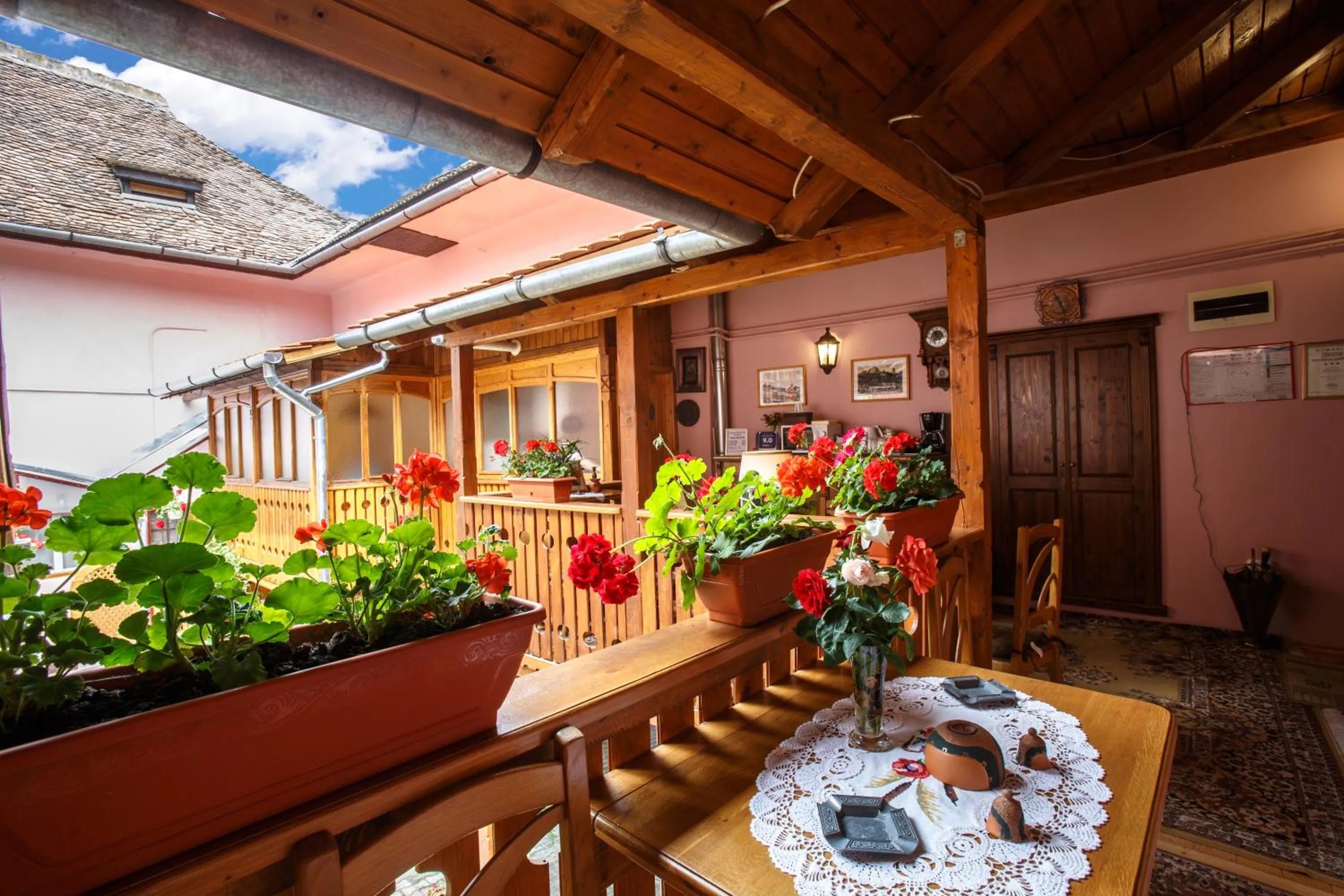 Garden in La Teo Pensiune si Pivnita