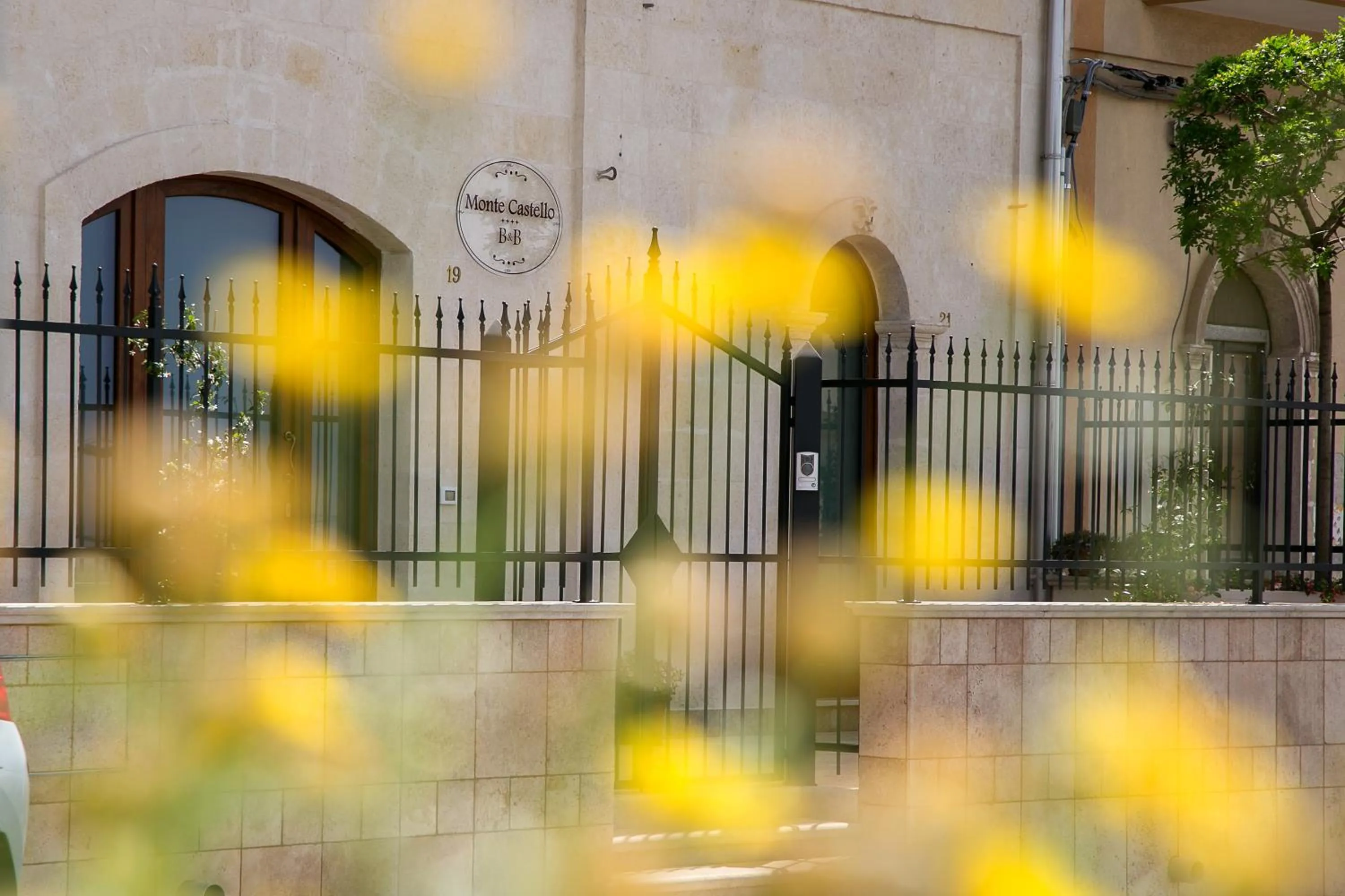 Decorative detail in Monte Castello