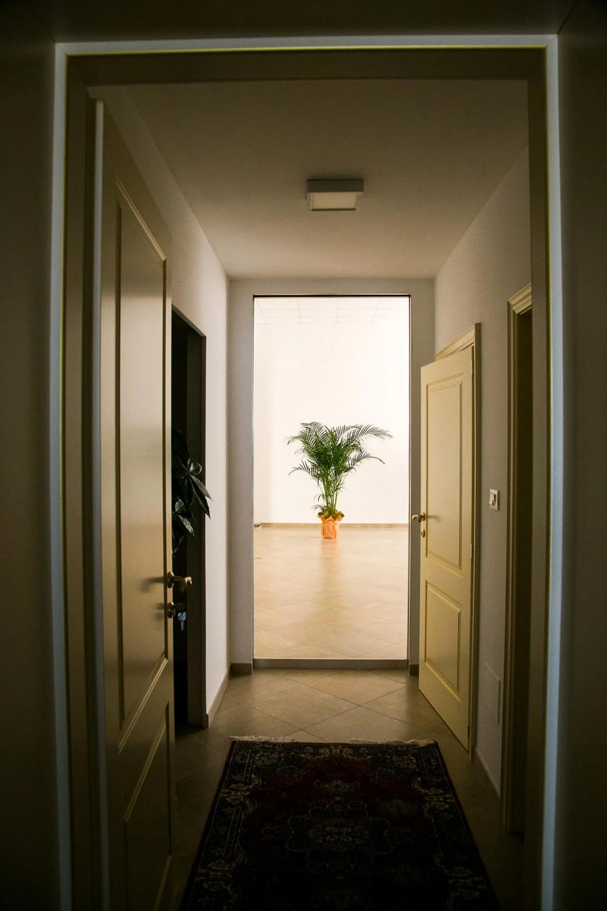 Lounge or bar in Monte Castello