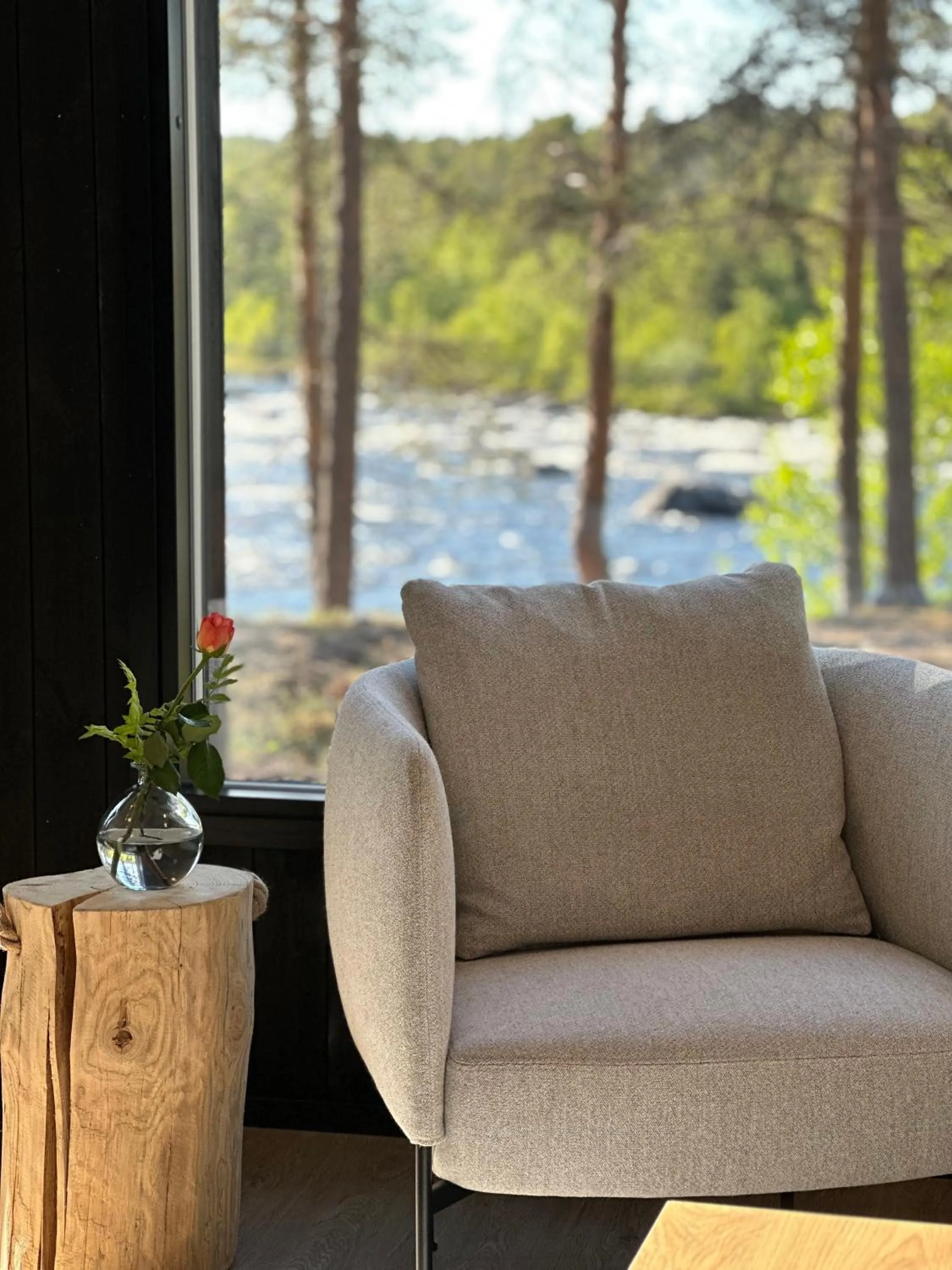 Summer in Wilderness Hotel Juutua