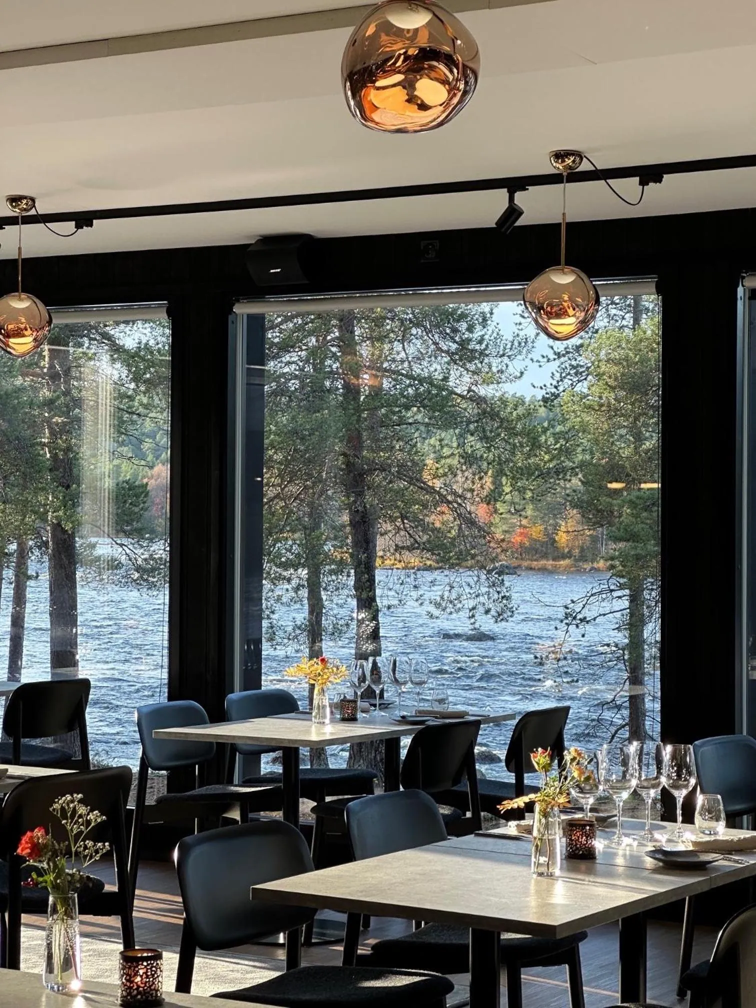 Restaurant/places to eat in Wilderness Hotel Juutua