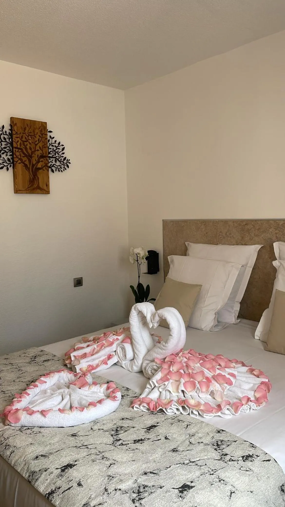 Bed in Hôtel Provence