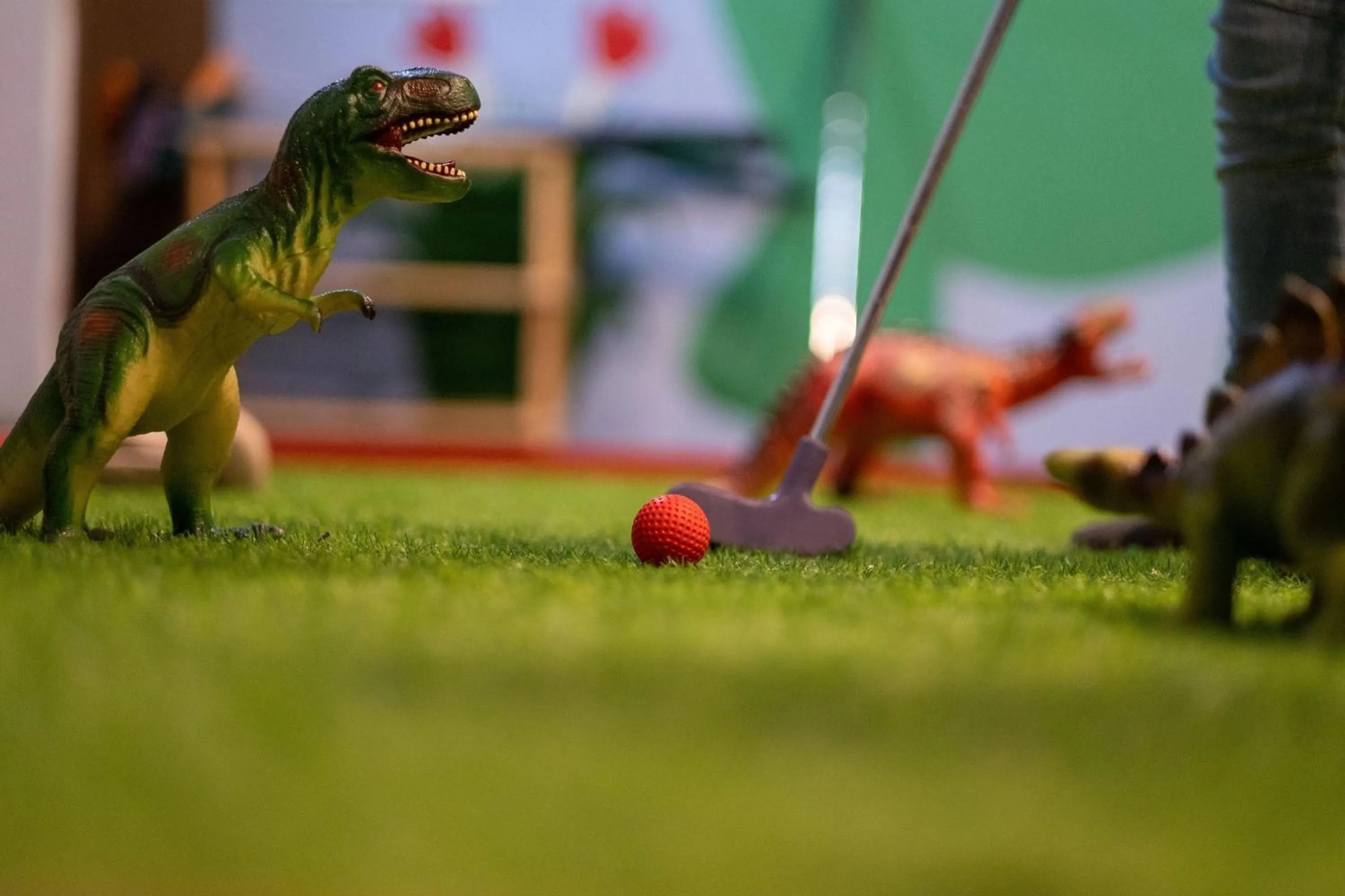 Activities in Moonfleet Manor Hotel