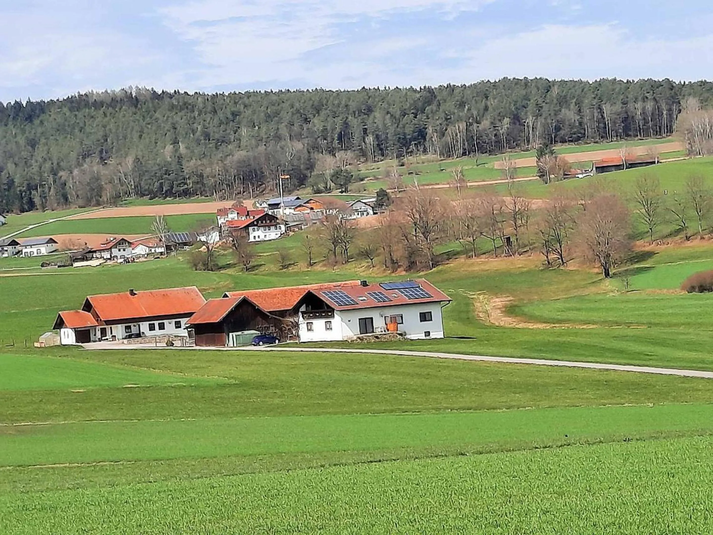 Natural landscape in Ferienwohnung Wenzl