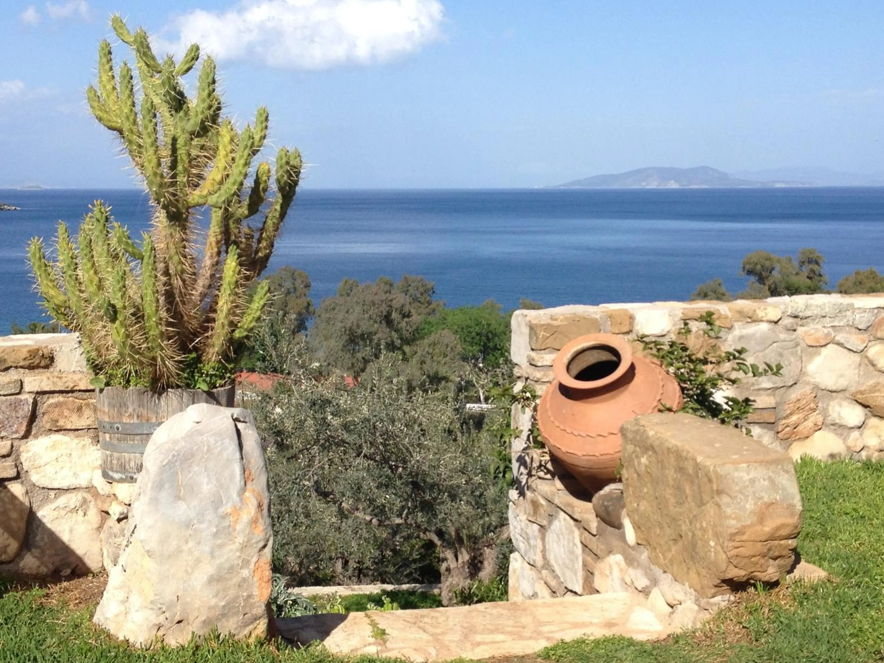 Garden in Yialasi Hotel