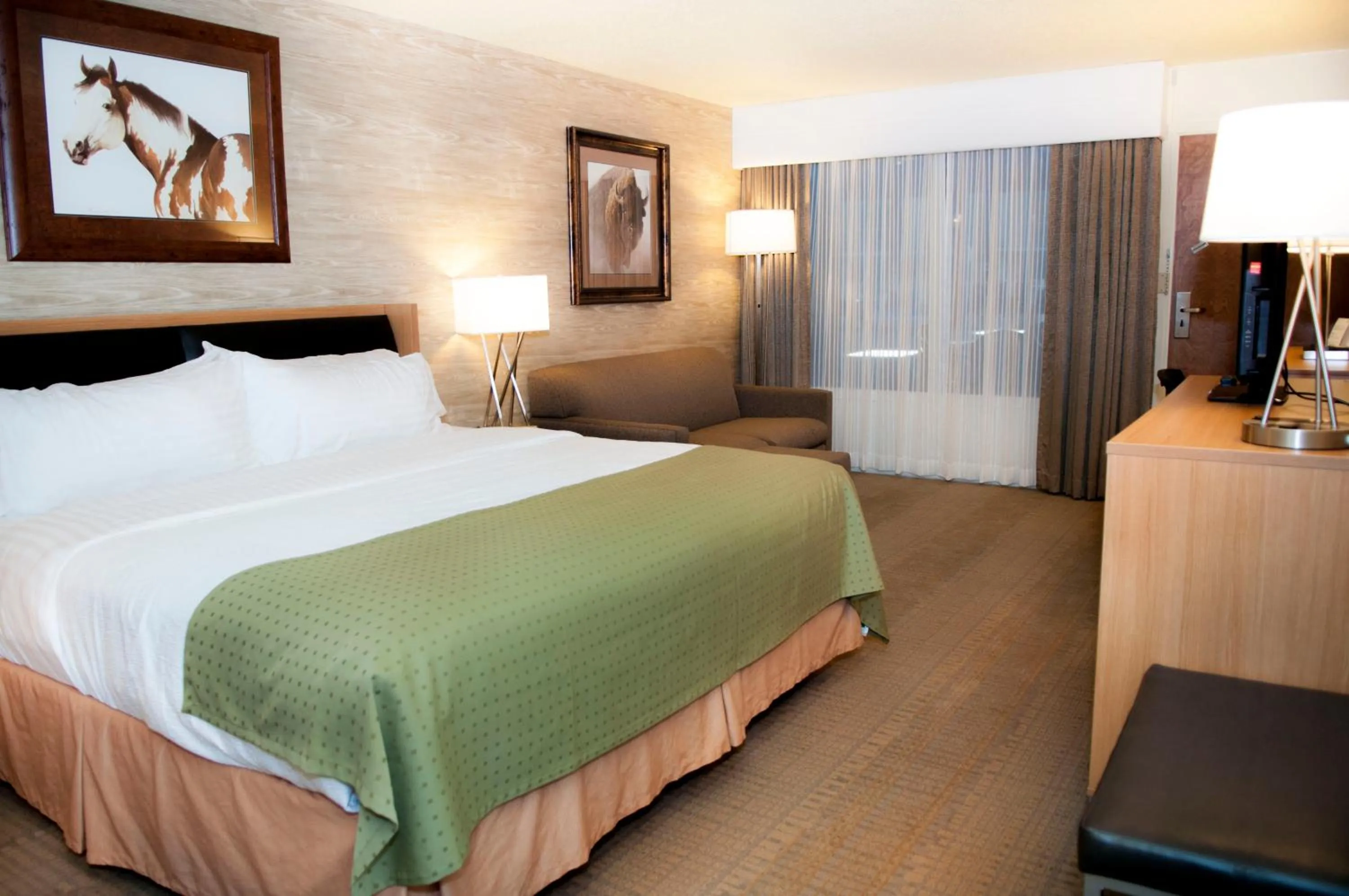 Photo of the whole room, Bed in Holiday Inn Spearfish-Convention Center by IHG