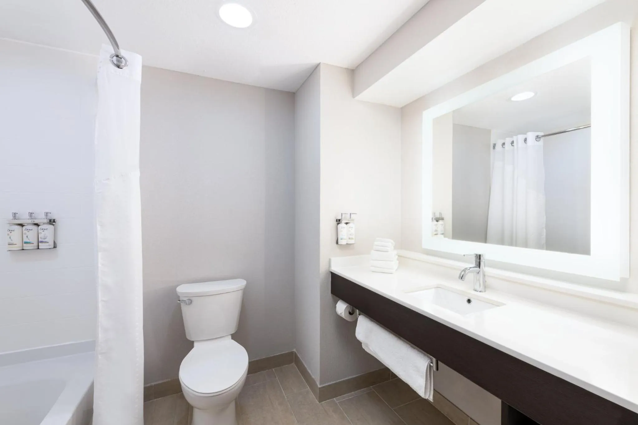 Bathroom in Holiday Inn Express & Suites Spring Hill by IHG