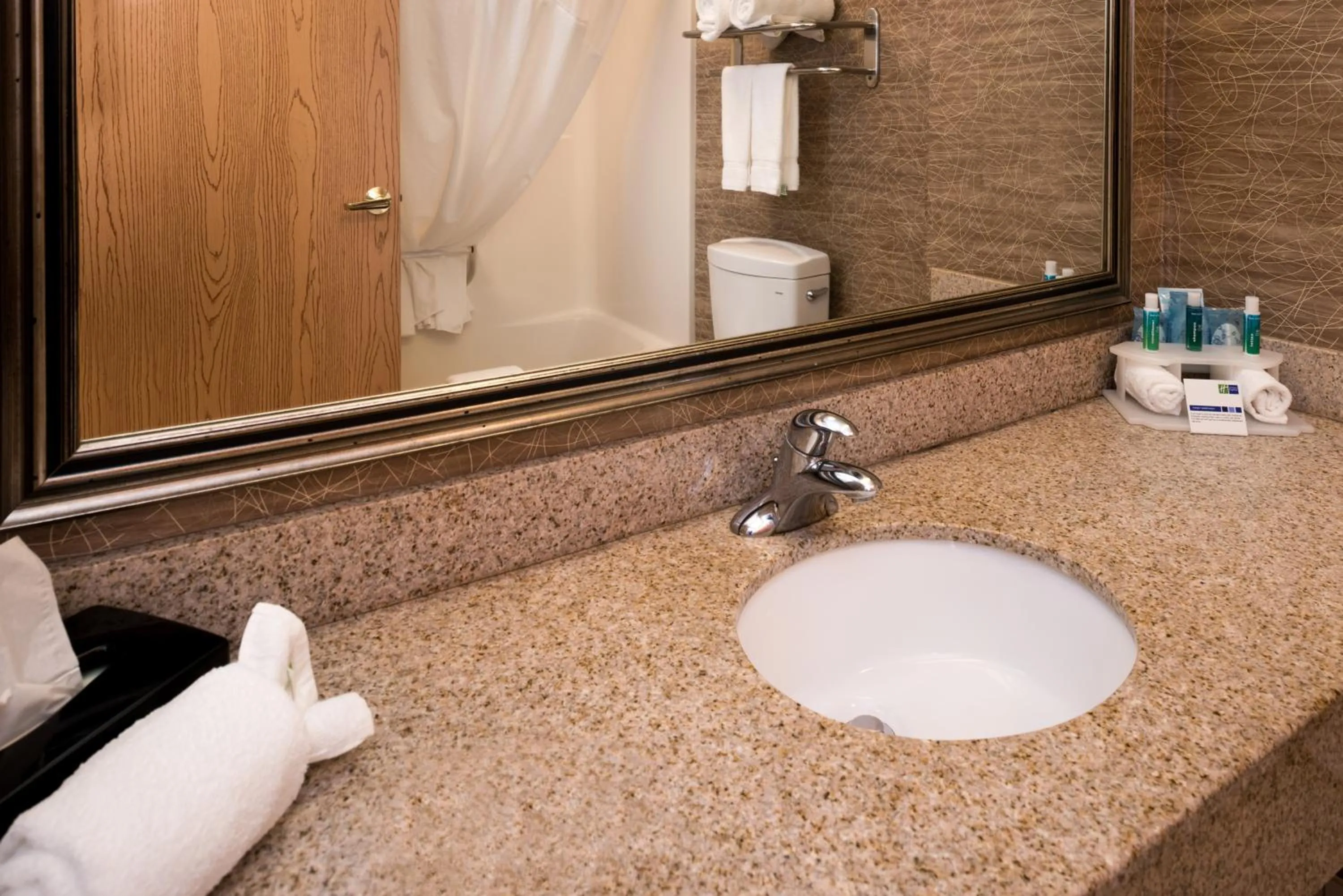 Bathroom in Holiday Inn Express & Suites Bucyrus by IHG