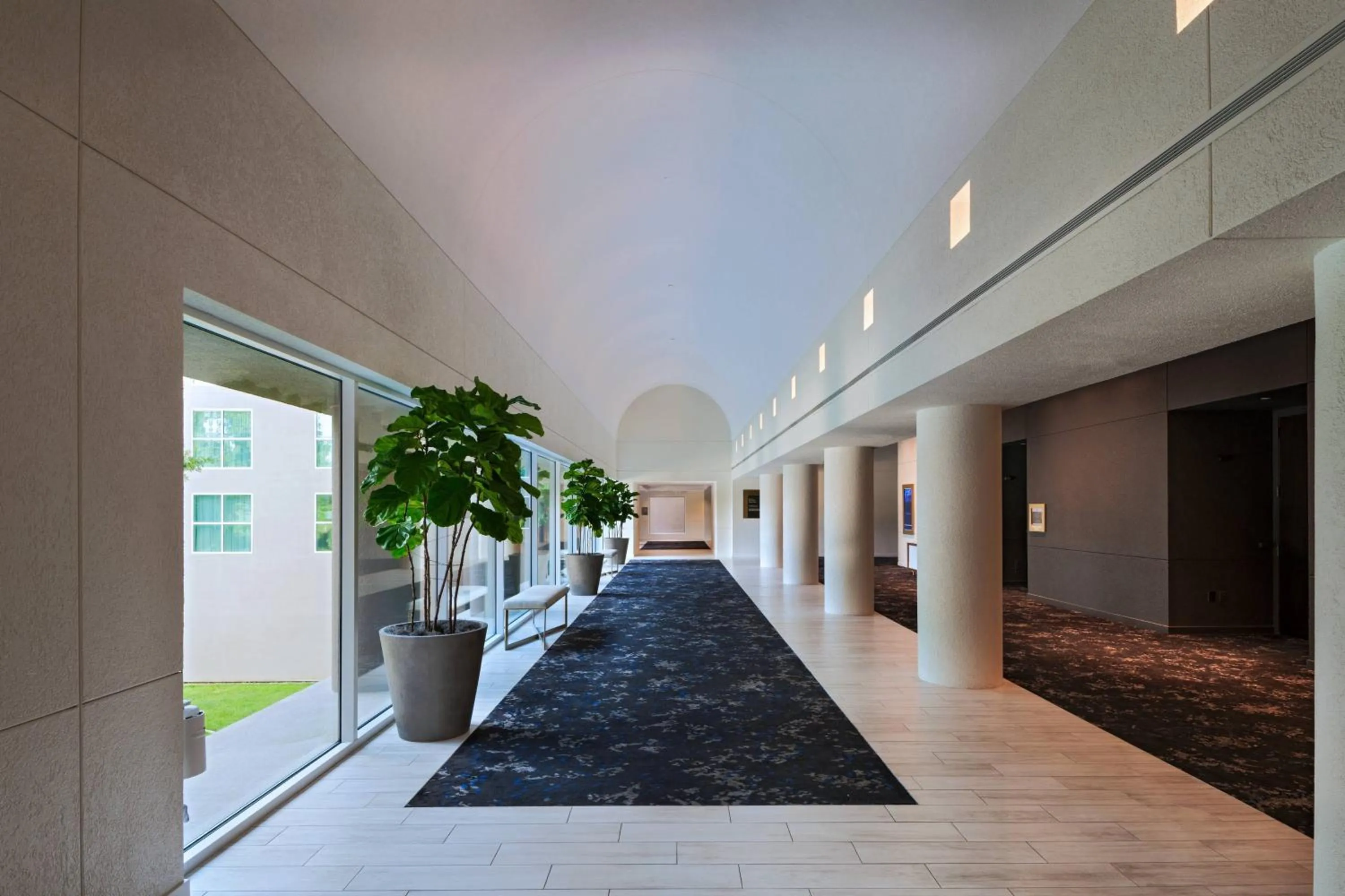 View (from property/room) in Marriott Dallas Fort Worth Westlake