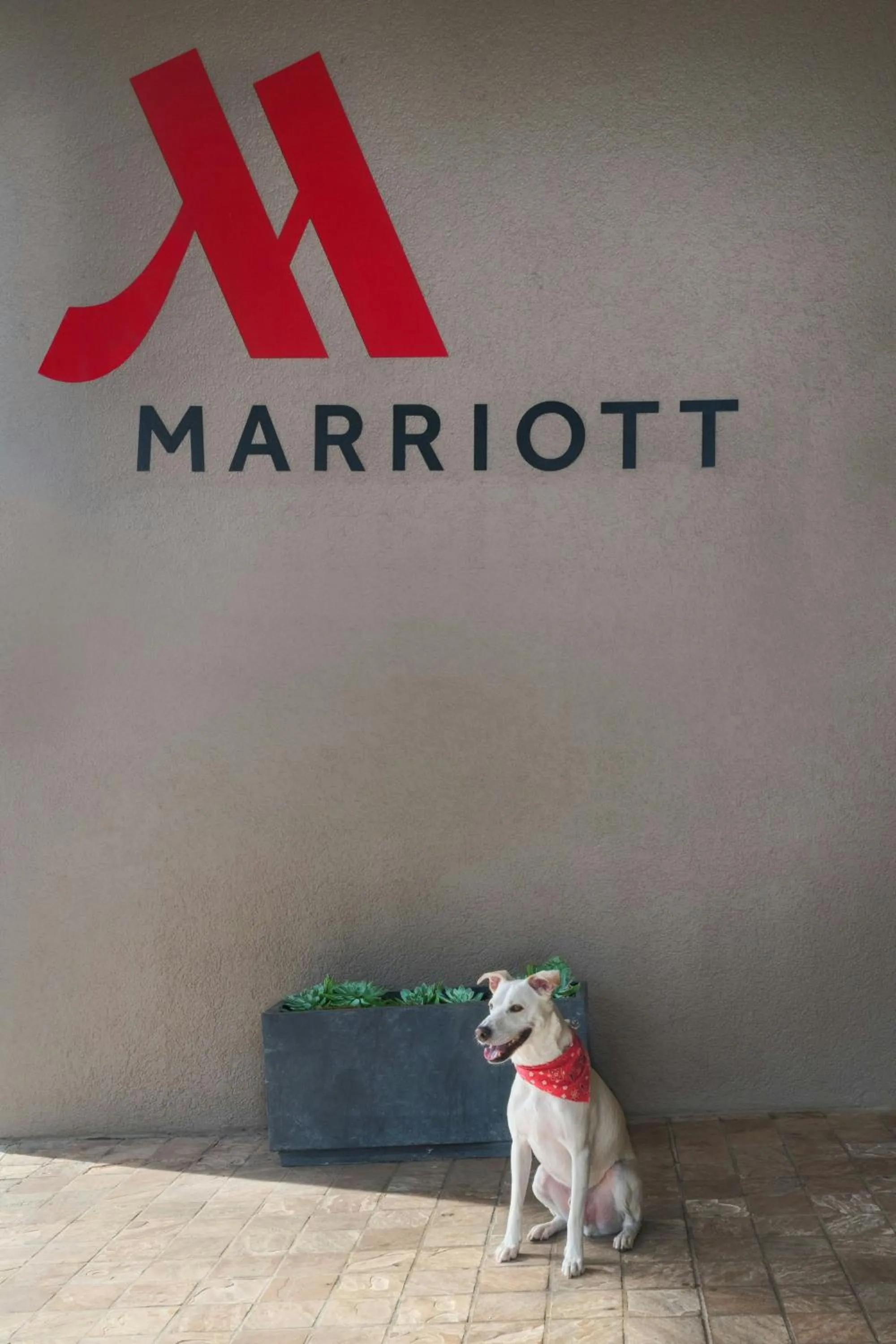 Other in Marriott Dallas Fort Worth Westlake