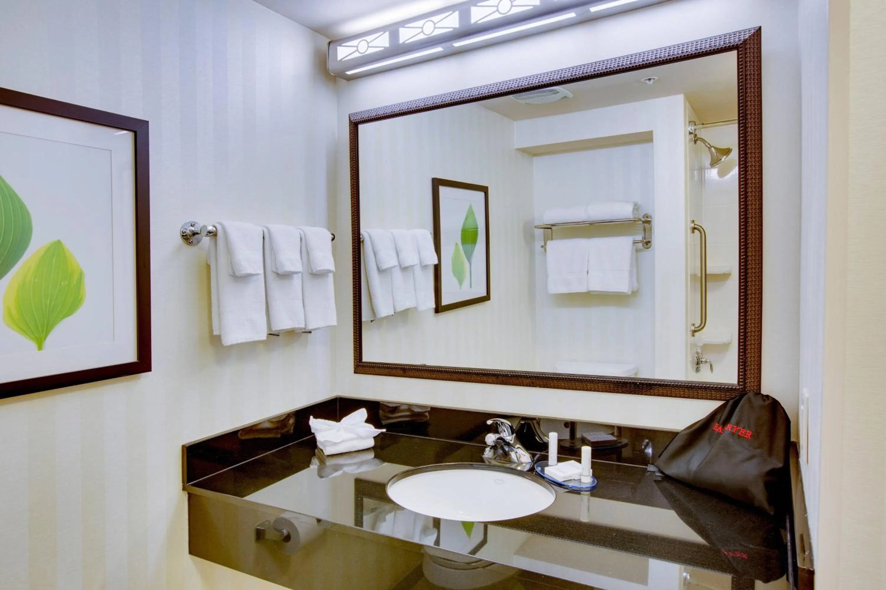 Bathroom in Fairfield by Marriott Inn & Suites Melbourne West/Palm Bay