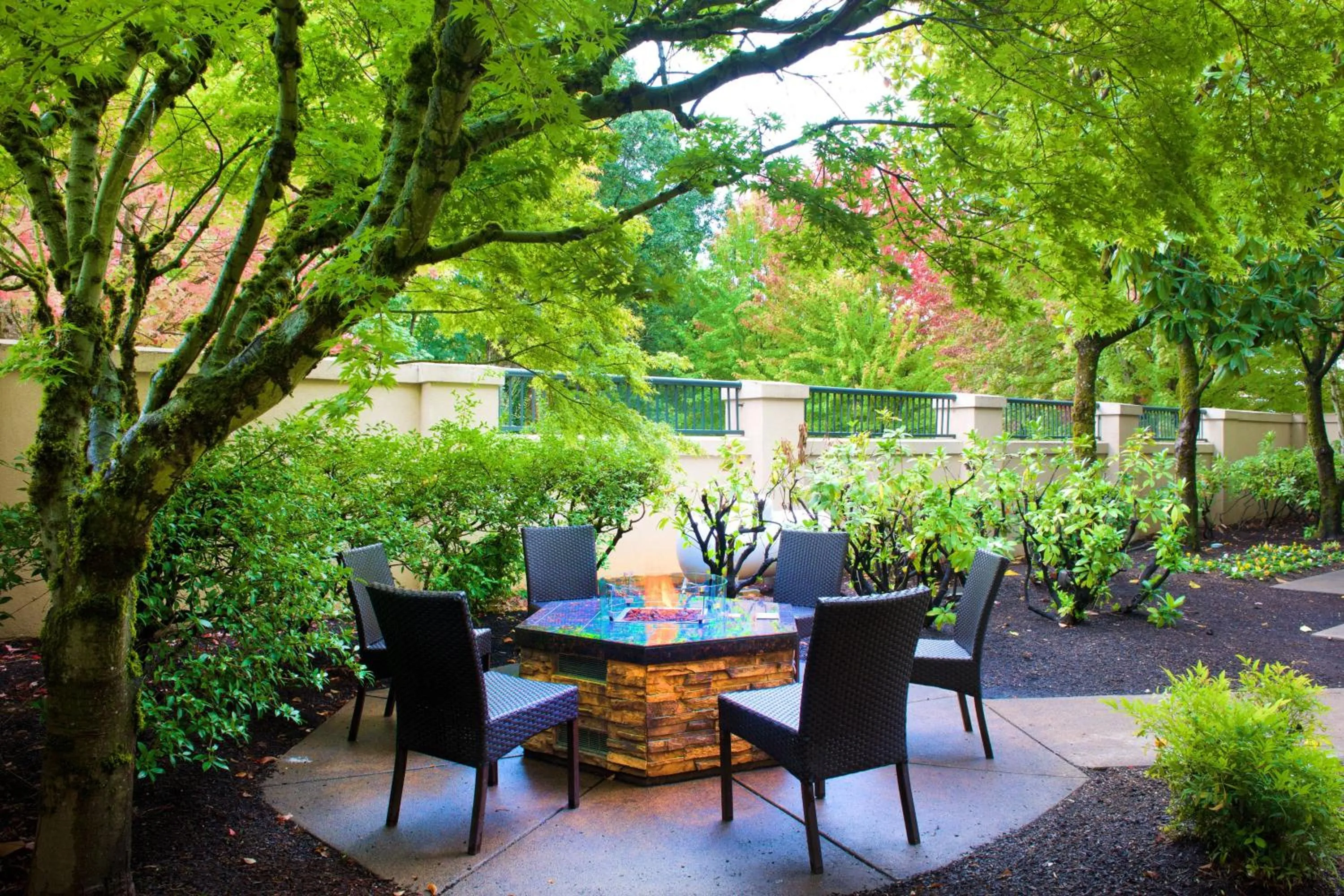 View (from property/room) in Courtyard by Marriott Portland Southeast/Clackamas