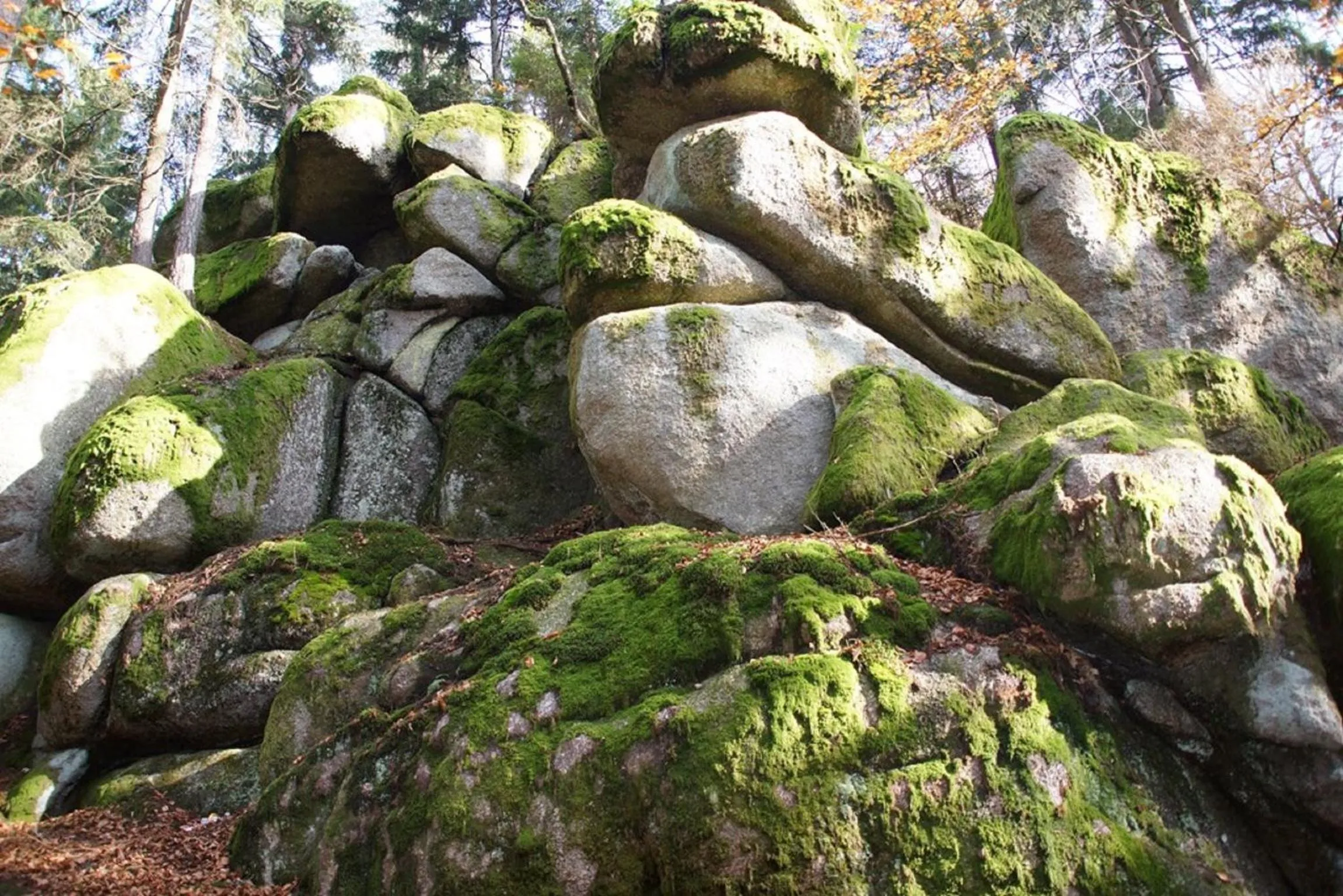 Panoramablick Höllbachtal