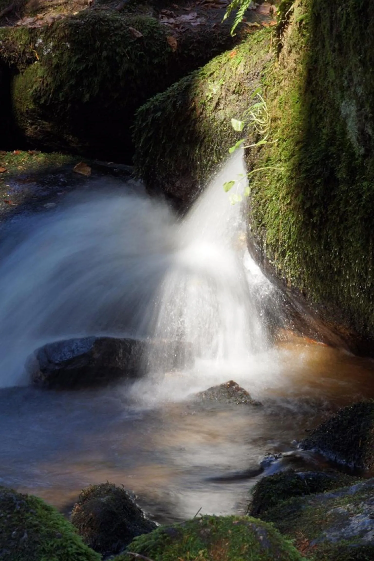 Panoramablick Höllbachtal