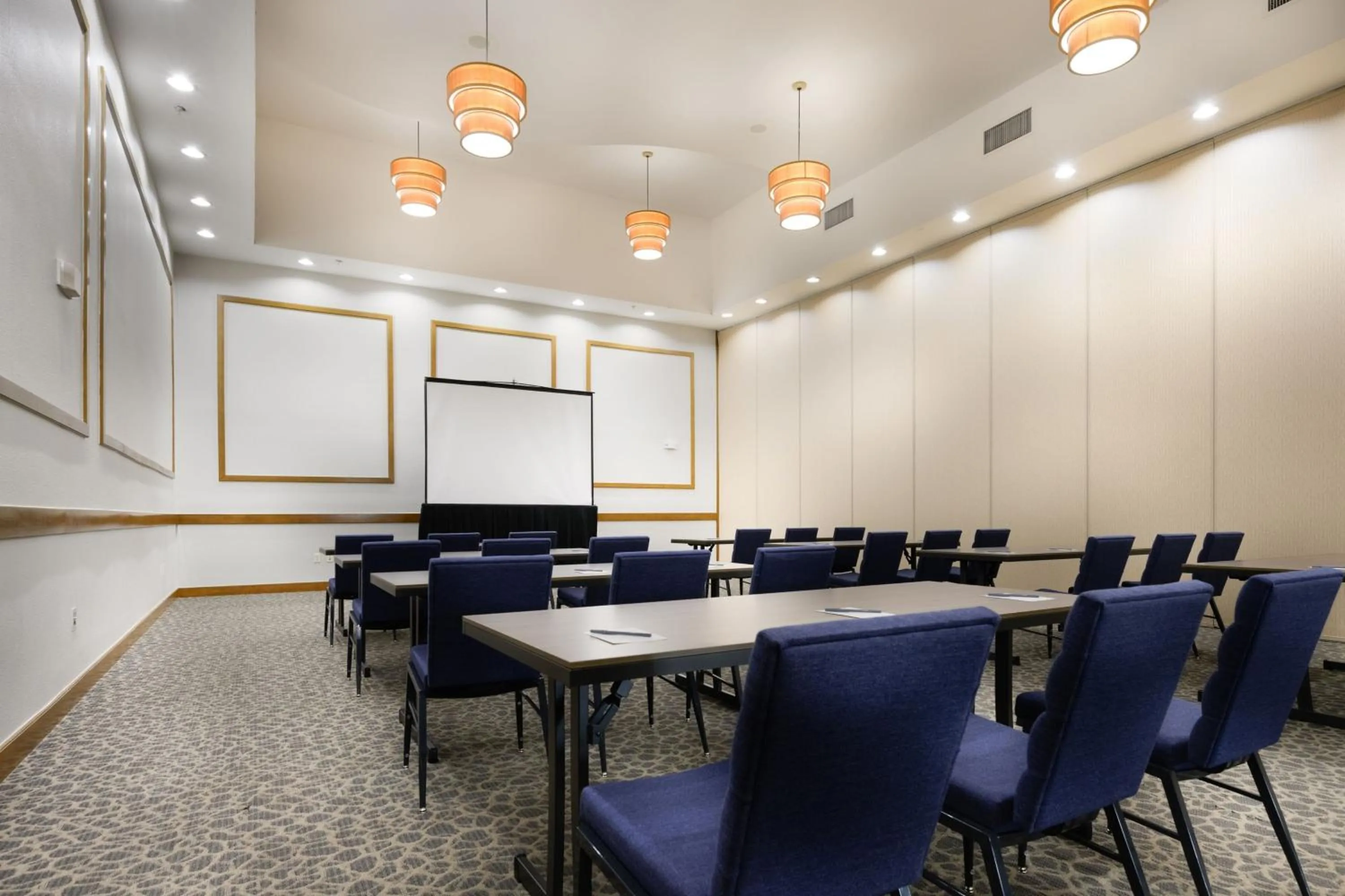 Meeting/conference room in Courtyard by Marriott New Braunfels River Village