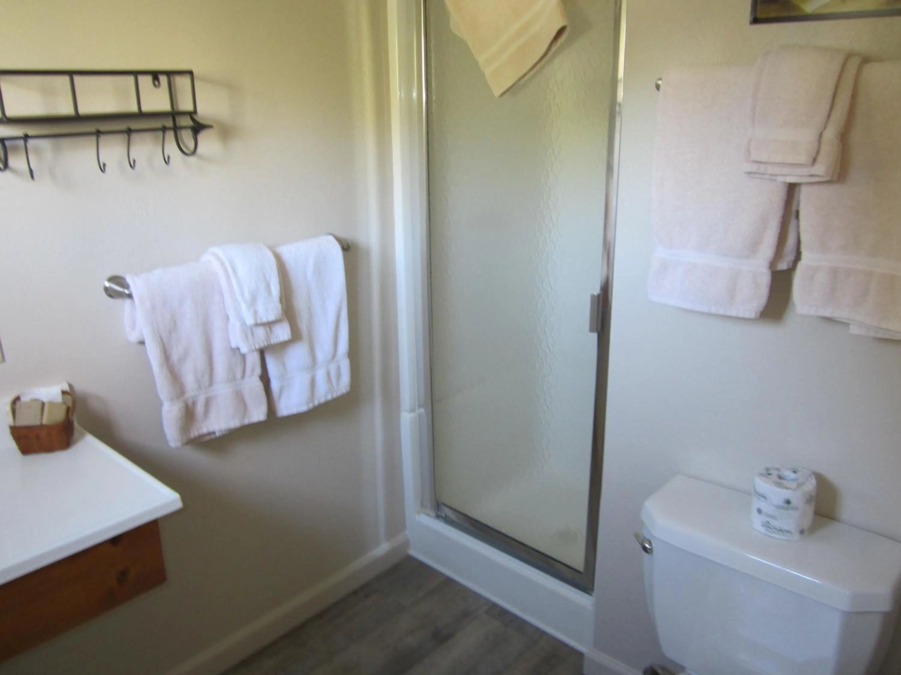 Shower in Sequoia Lodge
