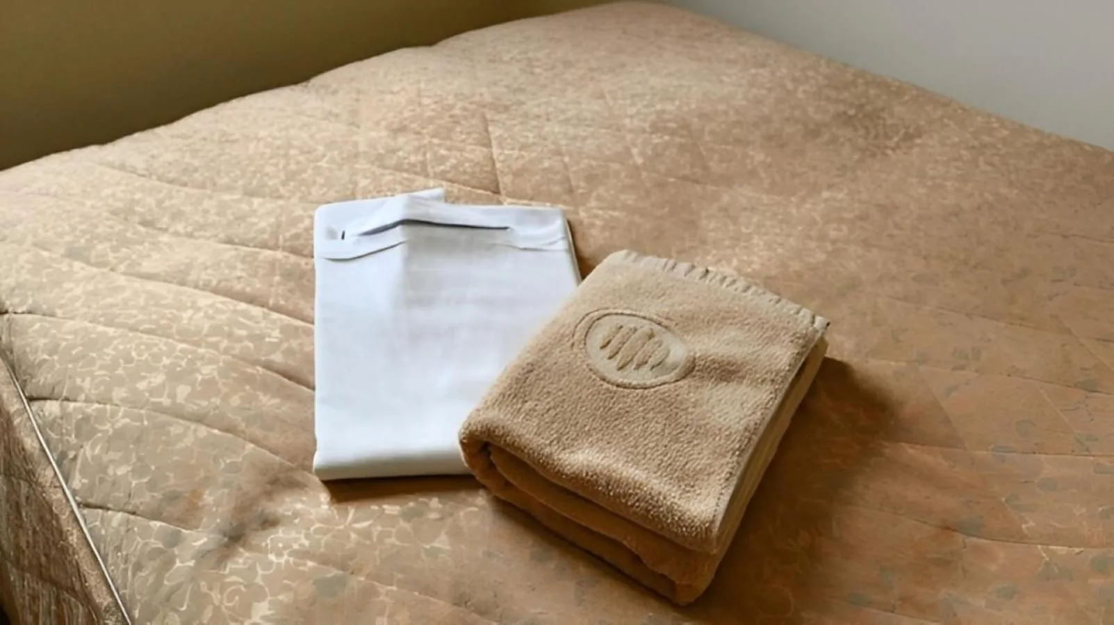 towels, Bed in Okazaki Daiichi Hotel East Wing