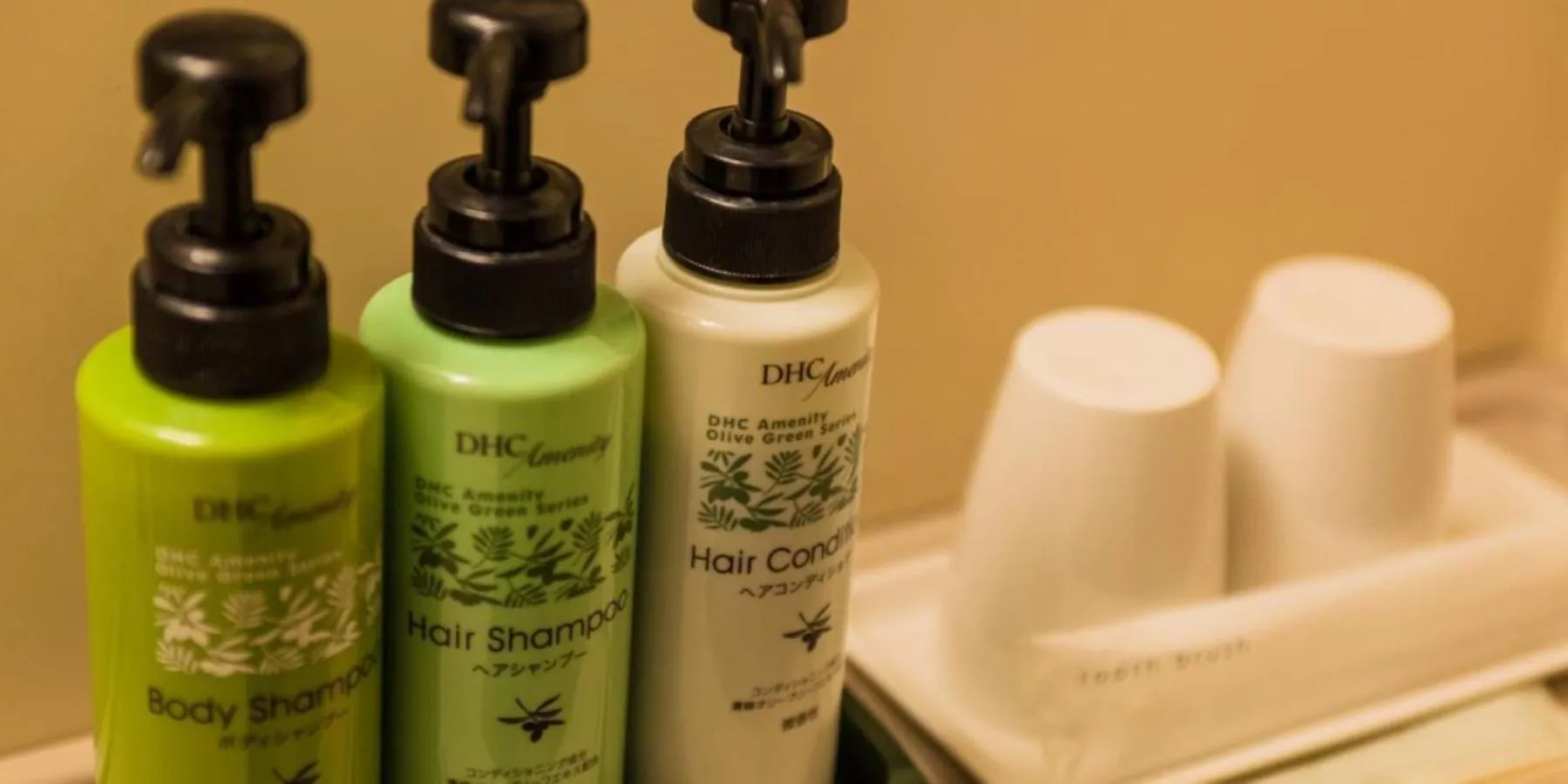 Area and facilities in Okazaki Daiichi Hotel