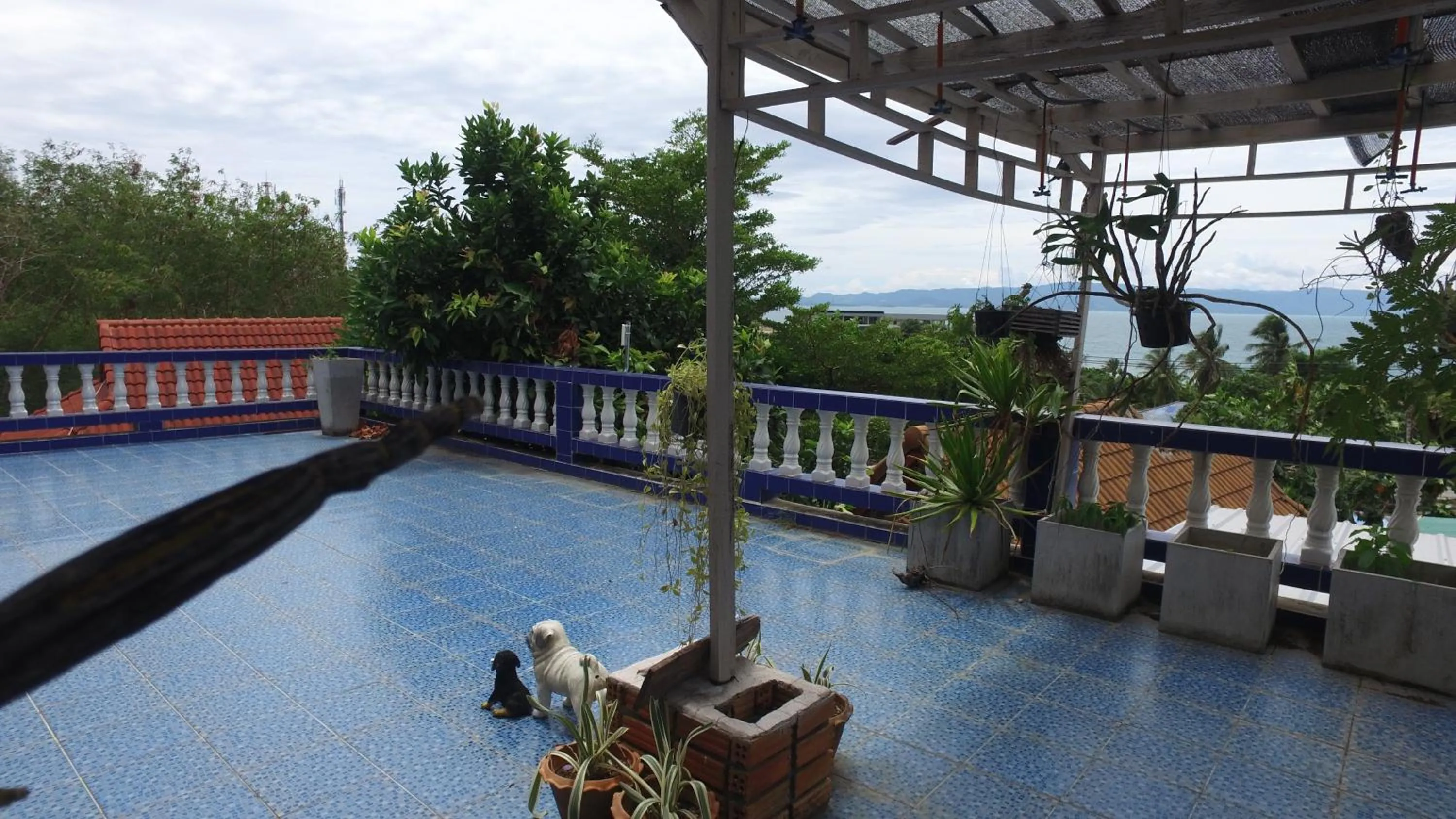 City view in Tanyaporn House