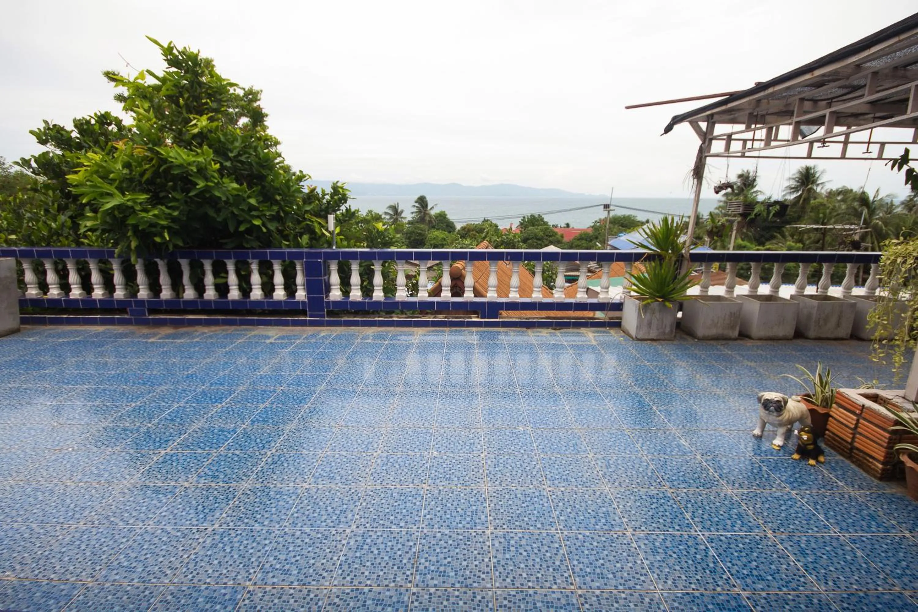 Garden in Tanyaporn House