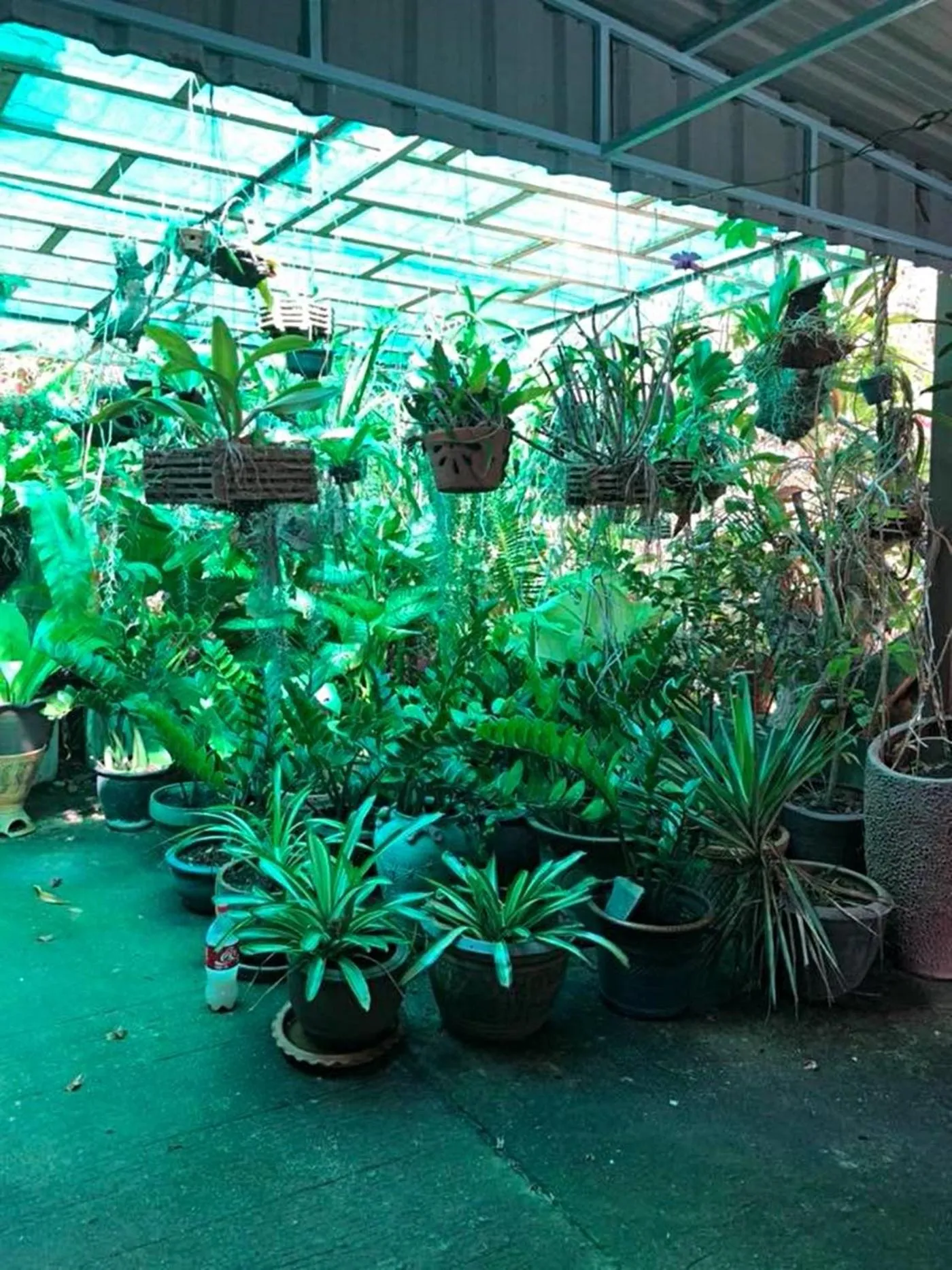 Natural landscape in Tanyaporn House