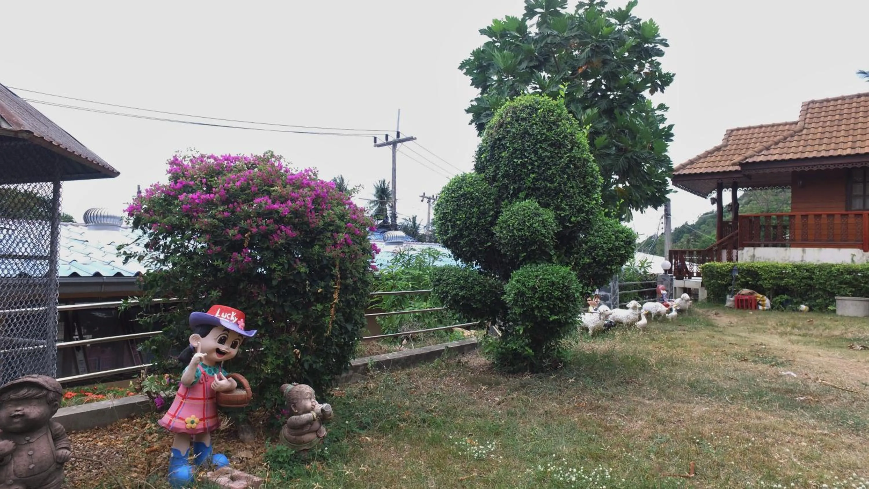 Garden in Tanyaporn House